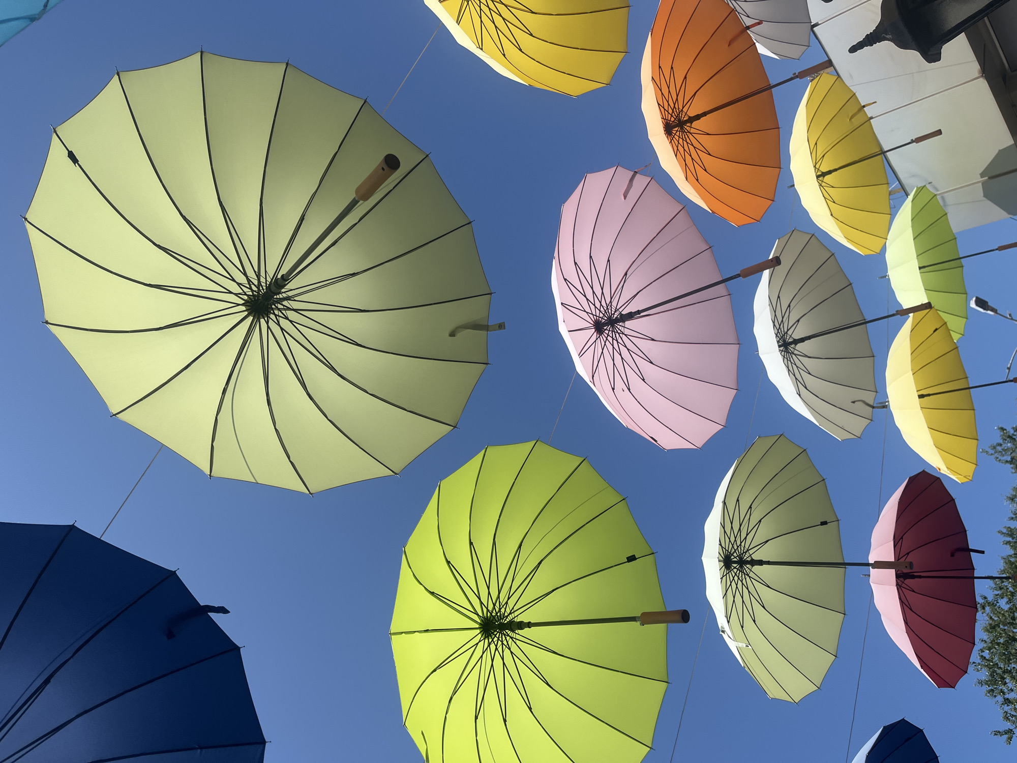 A multitude of colorful open umbrellas are suspended in the bright blue sky, creating a vibrant canopy. The umbrellas are predominantly in shades of yellow, green, pink, orange, blue, and white, with visible spokes and wooden handles. Some are tilted at angles, while others are positioned more directly overhead. The view is looking upwards, suggesting the umbrellas are hung over a street or public space. In the background, the tops of green trees are visible, indicating an outdoor setting, likely in a city. The lighting suggests a sunny day, with the sky clear and cloudless. The arrangement of umbrellas suggests a decorative installation, possibly for a festival or as a permanent art piece in a city. Without further information, the specific location in Sochi, Russia, cannot be determined from the image alone.