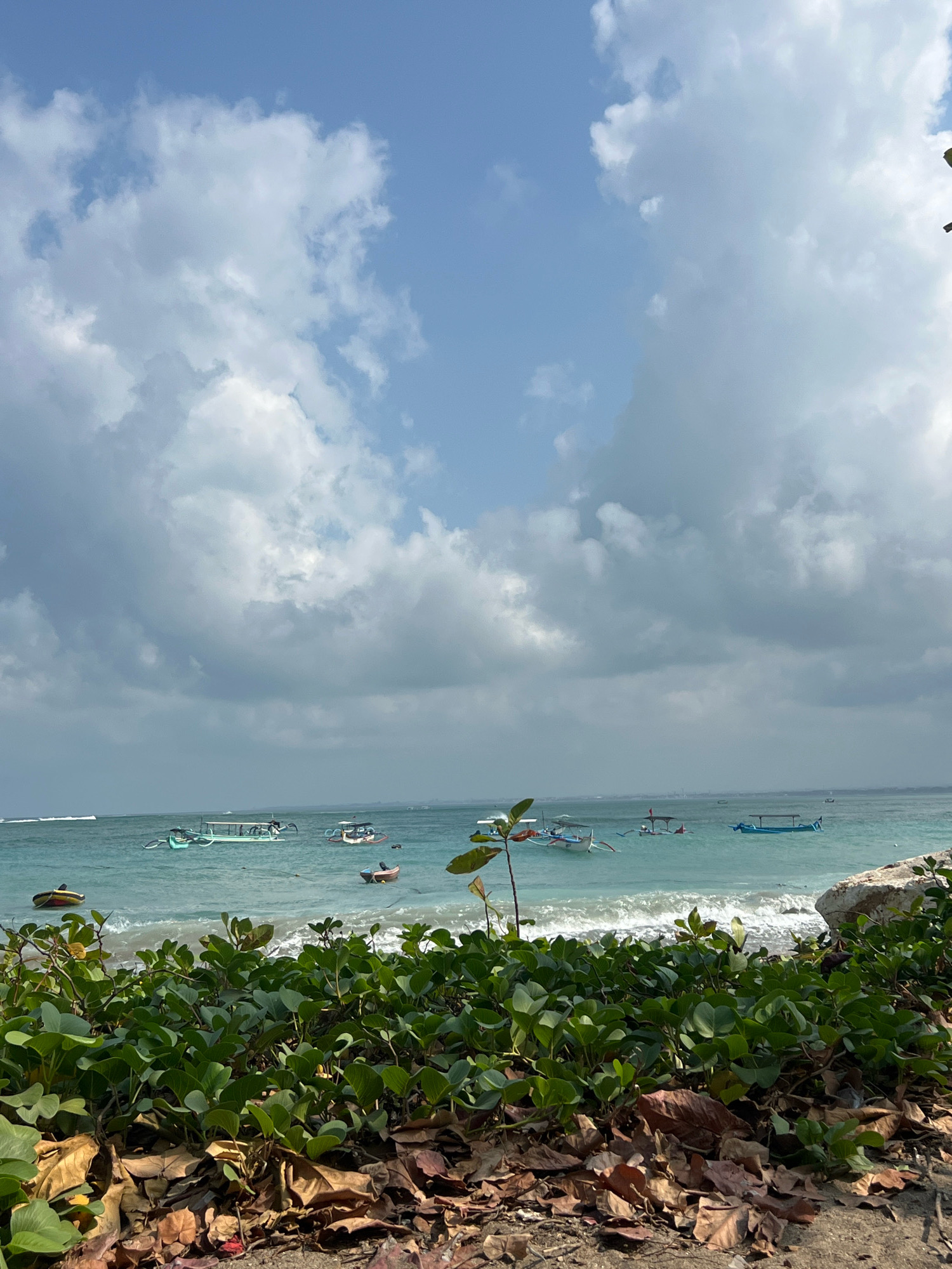 A wide shot captures a beach scene in Kuta, Indonesia, under a partly cloudy sky. The turquoise ocean meets the shore with gentle waves. Several traditional Indonesian boats, known as jukung, are visible scattered across the water. In the foreground, lush green vegetation with large leaves grows along the sandy edge, with dry, fallen leaves scattered amongst it. A large, light-colored rock is partially visible on the right side of the frame. The image depicts a serene coastal environment with no people visible.
