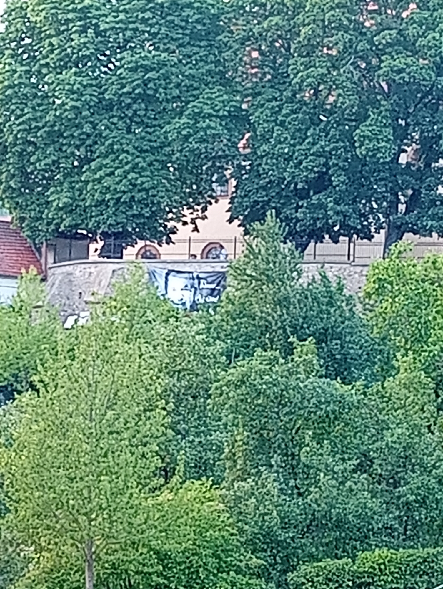 The image shows a dense, leafy tree canopy in the foreground, obscuring much of the background. Behind the trees, a stone wall or rampart is visible, topped by a building with arched windows and a red-tiled roof. A large black banner with white lettering hangs on the stone structure. The overall scene appears to be an outdoor environment, possibly a park or a historical site within the city of Tišnov, Czechia.