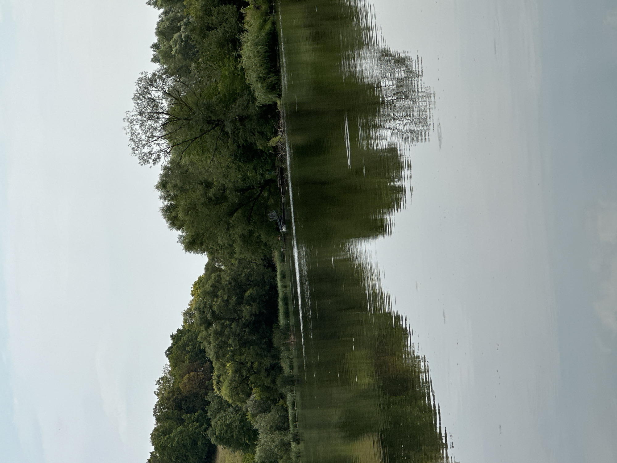The image depicts a serene natural scene at the park in Makiv, Ukraine. A tranquil body of water dominates the foreground, with its surface reflecting the overcast sky and the lush greenery of the surrounding landscape. The water's edge is bordered by a dense line of trees and vegetation, with a slightly elevated hillside covered in more trees visible on the left. In the middle ground, partially submerged wooden structures and debris are present near the bank, along with what appears to be a small boat or kayak docked. The overall atmosphere is peaceful and quiet, suggesting a natural setting within the urban environment of Makiv.