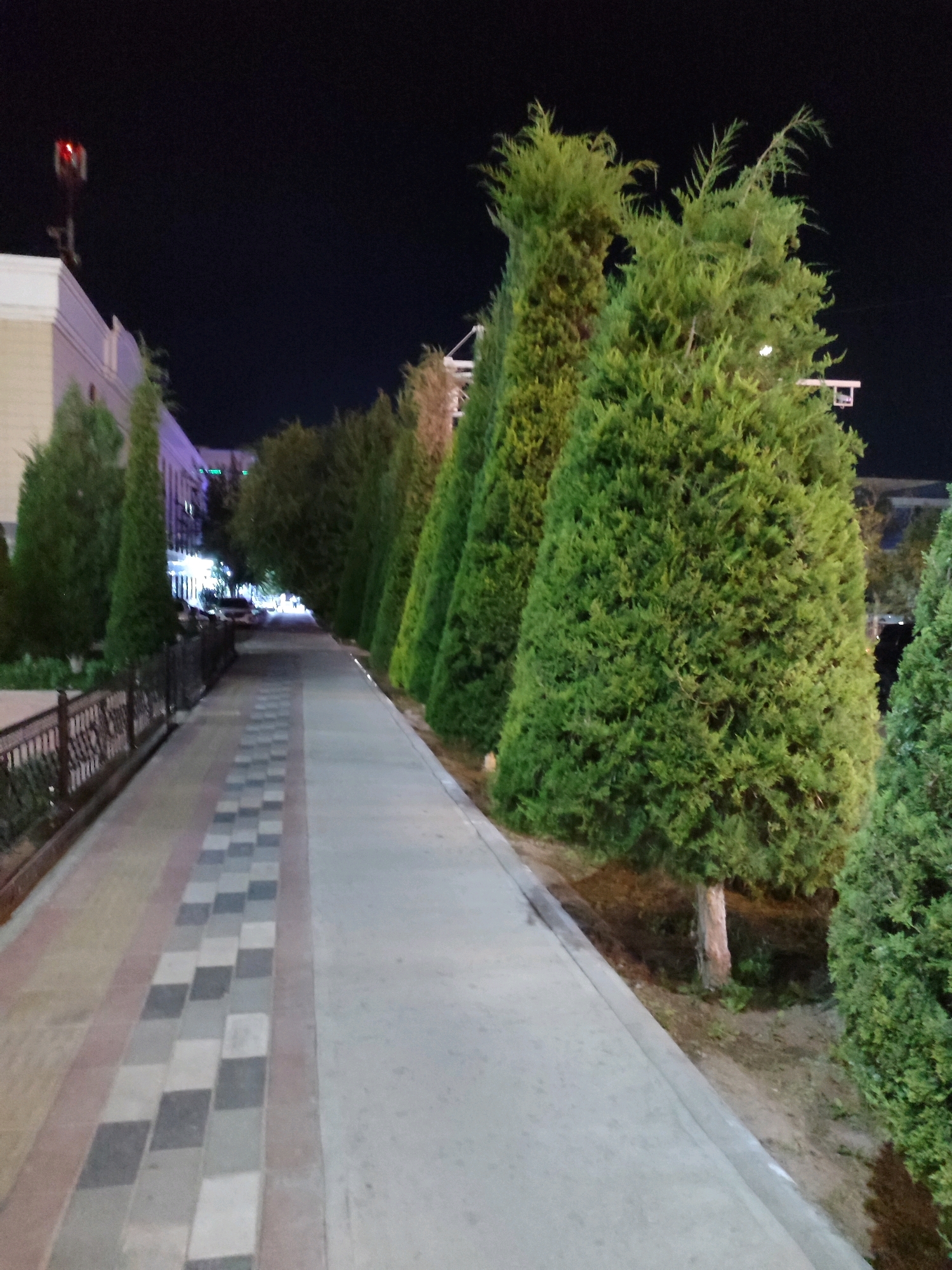 A paved walkway runs alongside a row of tall, conical evergreen trees at night in Nukus, Uzbekistan. The walkway is bordered by a decorative strip of checkered grey and white pavers on the left, and a dark metal fence. To the left of the fence, a building with illuminated windows is visible. A tall, thin tower with red lights is visible in the distance above the building. The trees are densely packed, casting shadows on the walkway. The overall scene suggests a well-maintained public space in an urban setting at night.