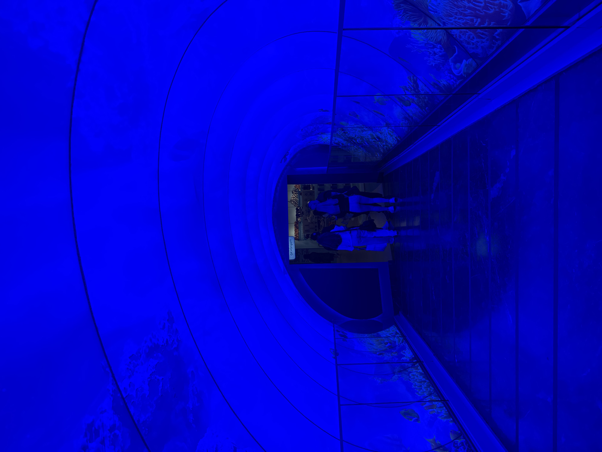 A brightly lit, blue-toned, slightly skewed perspective showcases an aquarium tunnel located in Bakırköy, Turkey. The tunnel is cylindrical on the left and a rectangular hallway to the right, with decorative marine-themed murals on the ceiling and floor. Two individuals stand at the end of the hallway, their reflections visible on the floor. An illuminated sign, labeled "akvaryum", is seen above the individuals.