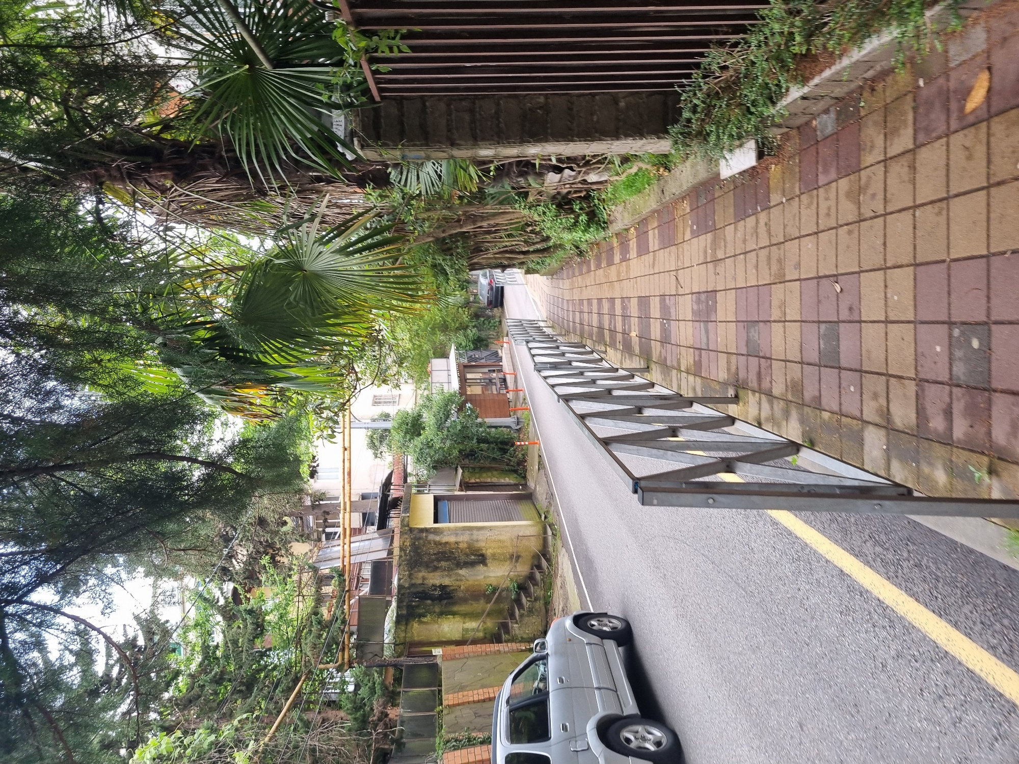 The image depicts a street scene in Sochi, Russia. A narrow paved road with a yellow center line is visible, flanked by sidewalks composed of red and yellow square paving stones. A silver car is partially visible on the road. A temporary metal safety barrier runs along the side of the road. Buildings and dense vegetation line the street. The buildings appear to be of mixed construction, some appearing older and somewhat dilapidated. Lush trees and bushes, including palm trees, overhang the street, creating a partially shaded environment. The overall scene is a blend of urban infrastructure and natural greenery.