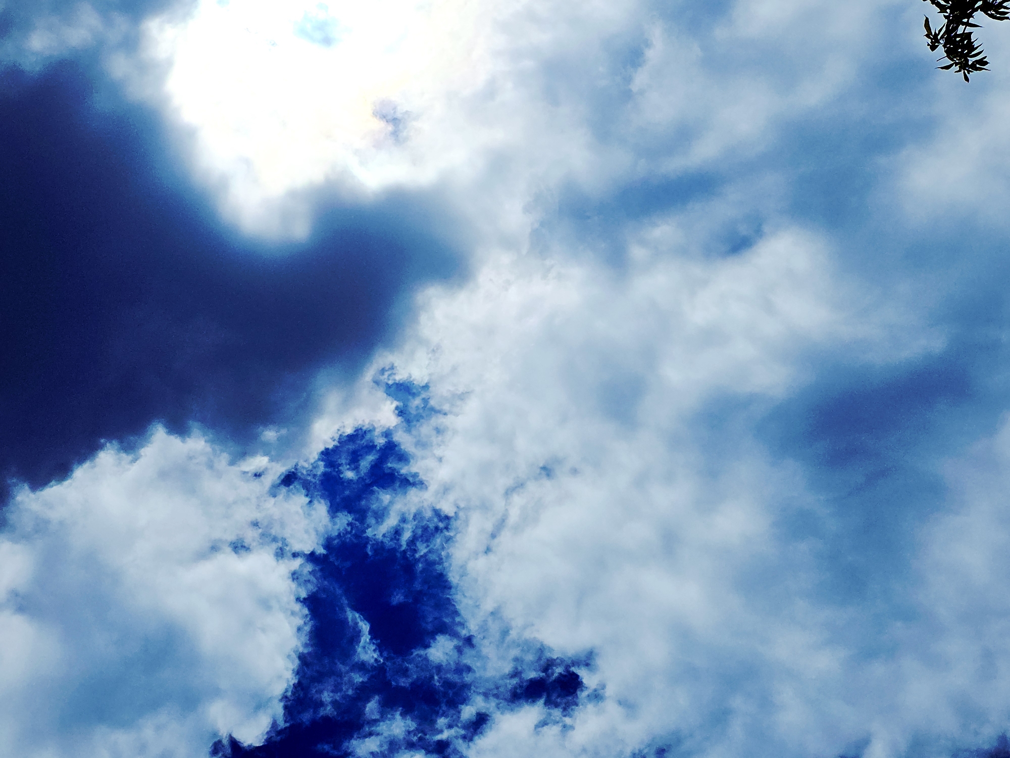 The image depicts a cloudy sky. The sky is predominantly blue with patches of white and dark blue clouds. A bright spot, likely the sun, is visible behind a large cloud in the upper left portion of the image. A few dark, possibly leafy, branches are visible in the upper right corner of the image. The location is unknown.
