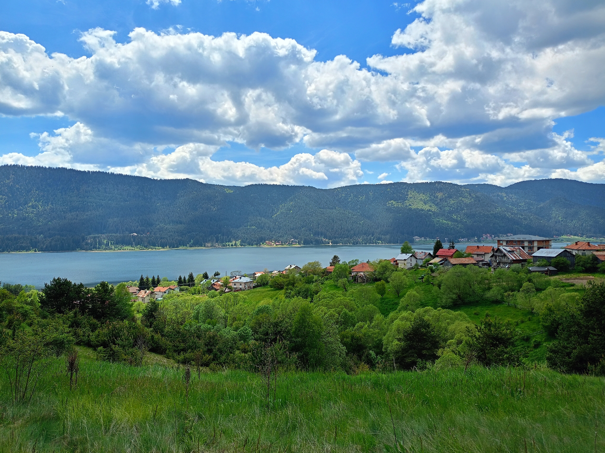 The image depicts a landscape scene near Sarnitsa, Bulgaria, featuring a lake, forested mountains, and a village. The foreground is dominated by green grass. The middle ground shows a cluster of houses with red and gray roofs nestled amidst lush green trees and vegetation. The buildings suggest a residential area or village setting. Behind the village is a large body of water, possibly a lake, reflecting the sky. The background is dominated by forested mountains under a blue sky filled with white cumulus clouds. The sky is partially clear, with patches of bright blue visible between the clouds.