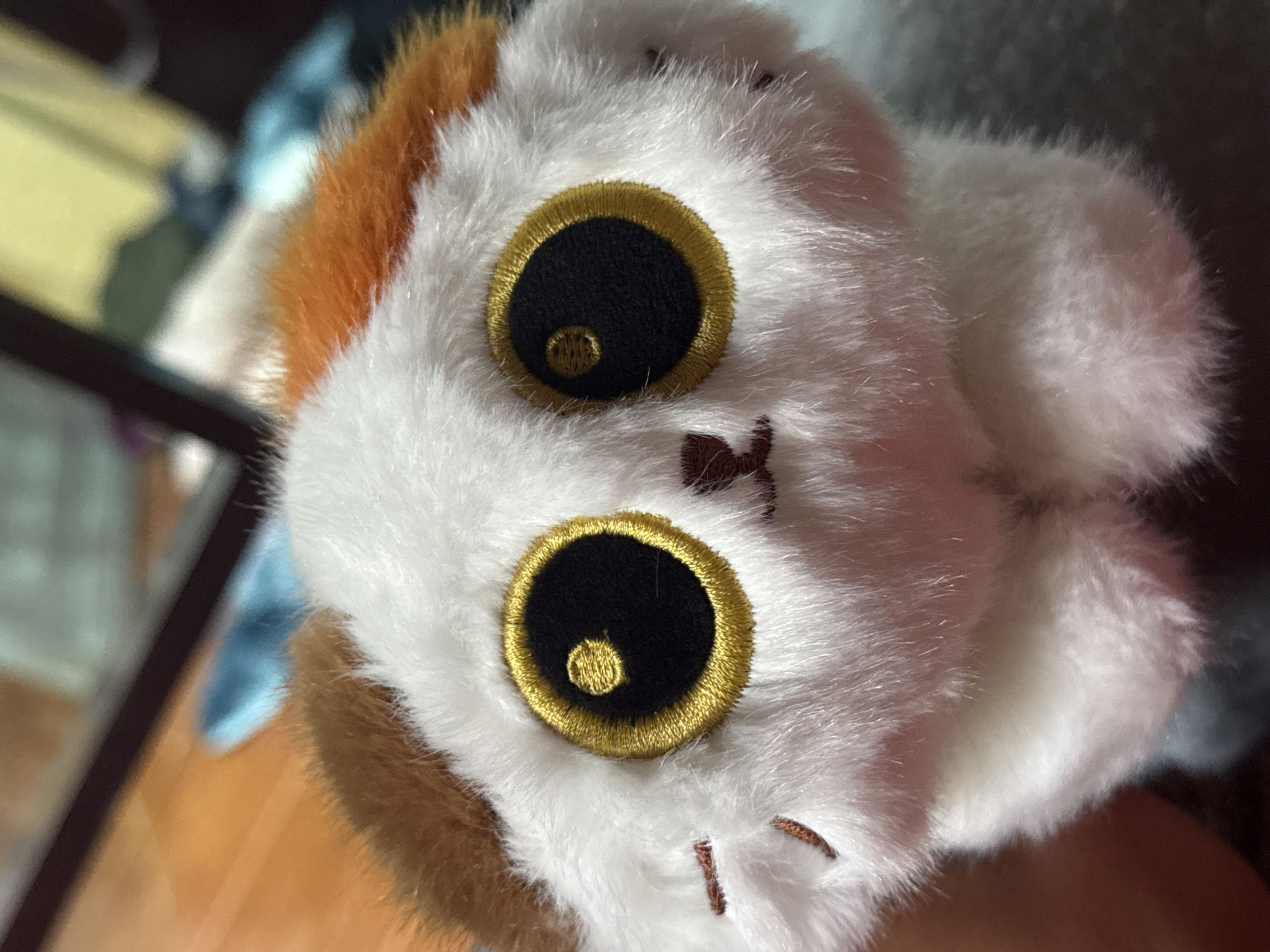 The image shows a close-up, front-facing view of a white, plush toy cat with large, embroidered golden-rimmed black eyes and small brown embroidered whiskers and nose. The cat has patches of brown and orange fur on its head. The background is out of focus and appears to be an indoor setting with wooden flooring and some out-of-focus objects. There is no indication of the city of Đạ Cháy, Vietnam, in the image or its surrounding context.