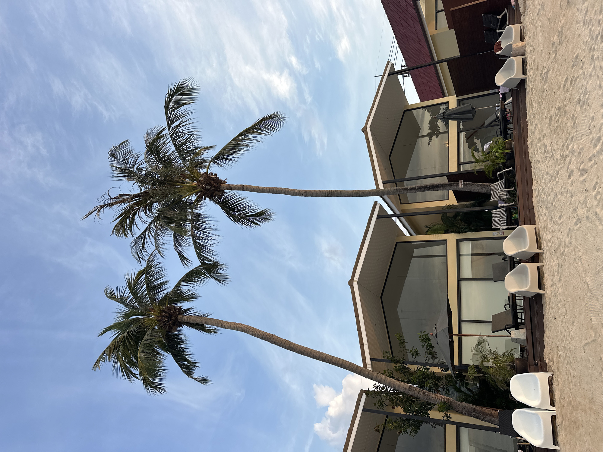 This image captures a tropical beach scene in Ko Samui District, Thailand, likely during late afternoon or early evening as indicated by the soft lighting. Two prominent palm trees tower against a pale blue sky with wispy white clouds. In the foreground, a sandy beach is dotted with several white plastic chairs arranged facing the water. Behind the chairs, a wooden deck is visible, furnished with lounge chairs, umbrellas, and potted plants. The deck leads to modern beachfront villas featuring large glass windows and angled roofs. A red-tiled roof of an adjacent building is partially visible on the right side of the frame. The overall atmosphere suggests a serene resort setting.