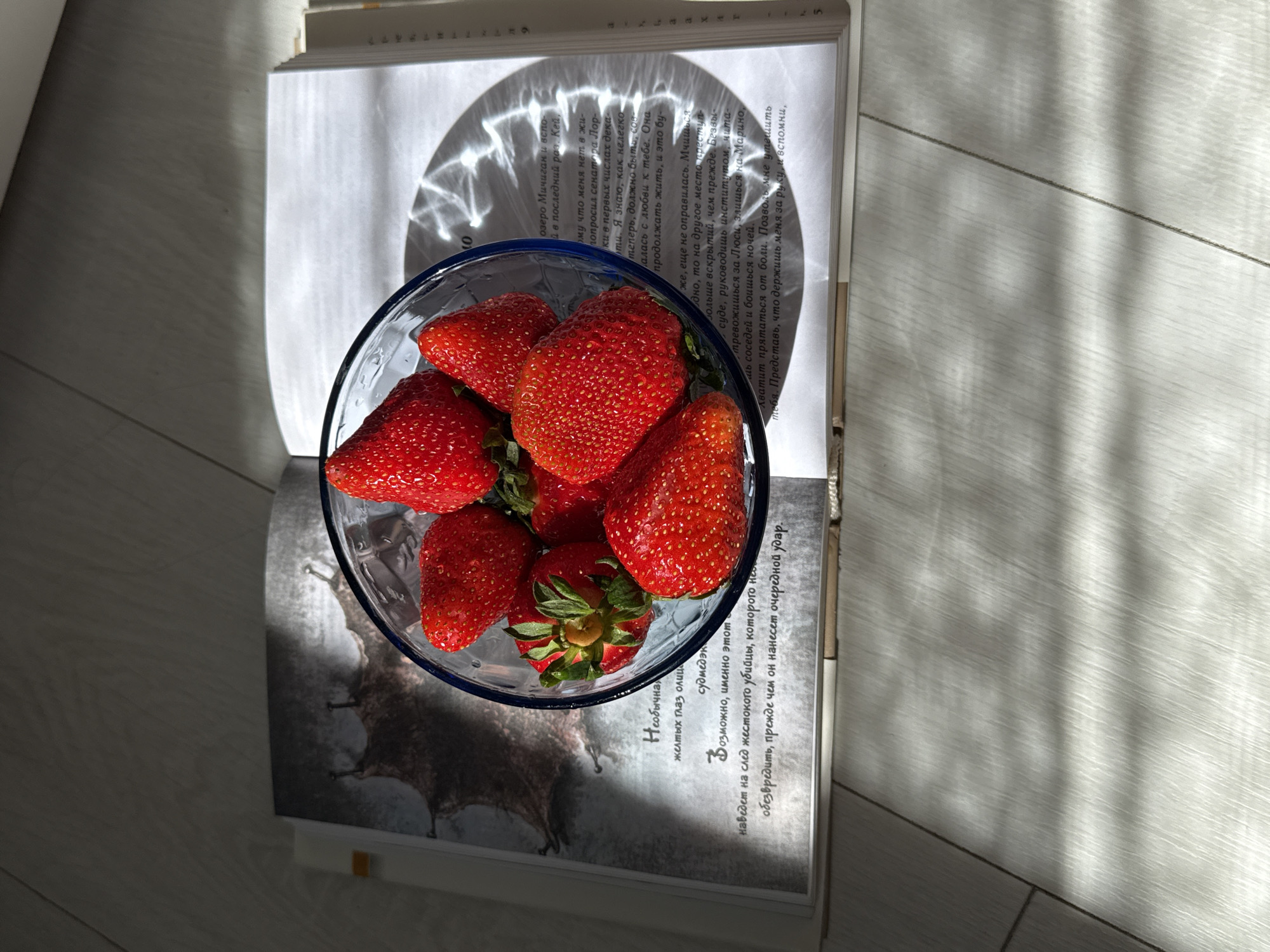 A high-angle shot captures a bowl of vibrant red strawberries resting on an open book, illuminated by natural sunlight. The strawberries, some with green caps still attached and appearing wet, are contained within a clear glass bowl with a subtle blue rim.
The book is open to reveal pages filled with text in Cyrillic, specifically Russian. On the left page, a distinct circular, web-like pattern of light and shadow is cast over the text, possibly from a glass object or window pane. The right page features an illustration at the bottom, depicting a creature with large, possibly bat-like or monstrous features, further suggesting the book's genre.
Strong sunlight streams into the scene, creating sharp shadows and distinct patterns of light on both the book pages and the light-colored wooden floor planks. Parallel lines of light and shadow stretch across the floor, indicating the time of day is likely morning or late afternoon.
The visible text in the book includes phrases such as "Необычна желтых глаз олица" (Unusual yellow eyes personify/face), "жестокото убийцы" (cruel murderer), "нанесет очередной удар" (will strike another blow), "Озеро Мичиган" (Lake Michigan), and mentions of a "сенатора Лорки" (Senator Lorca). Other discernible lines suggest themes of crime ("место преступ-"), distress ("тревожишься за Люси"), anger ("злишься на Марино"), fear ("боишься ночей"), and comfort ("Позволь мне утешить тебя"), strongly indicating a crime or mystery novel with elements of personal struggle or romance. The scene is a still life, presenting a quiet moment of reading and enjoying fresh fruit.