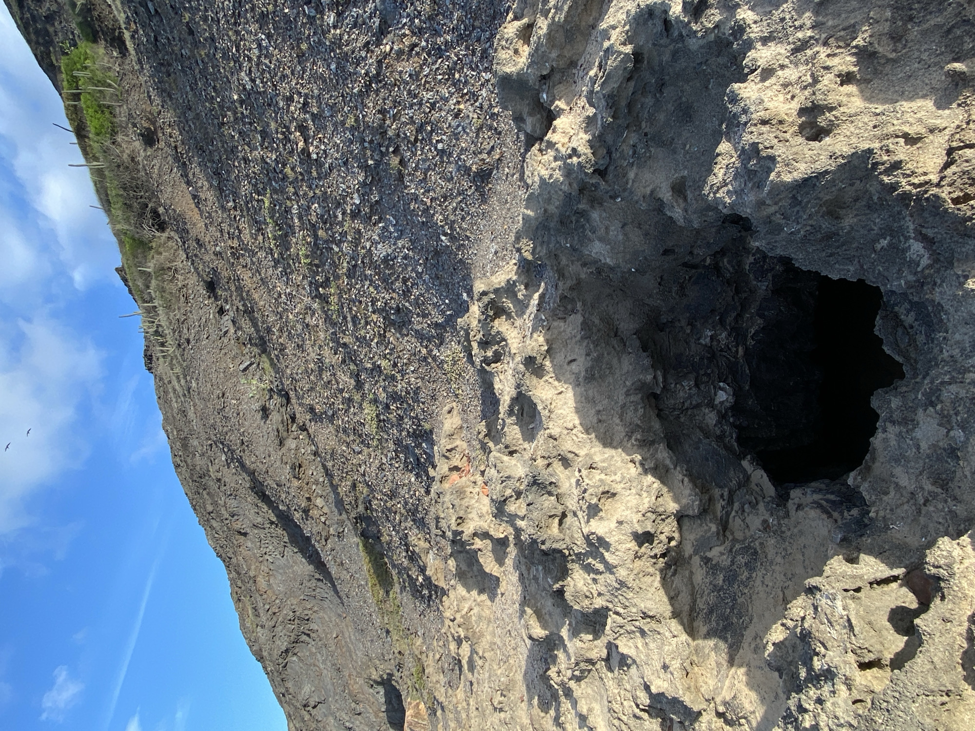 A rocky, arid hillside slopes upward under a bright blue sky with a few wispy clouds. The foreground is dominated by rough, porous rock formations, with a dark, cavernous hole visible in the center. The hillside is covered in loose stones and sparse, dry vegetation, including several tall, thin cacti. The overall impression is a desolate, natural landscape. This location is situated in Altagracia, Venezuela.