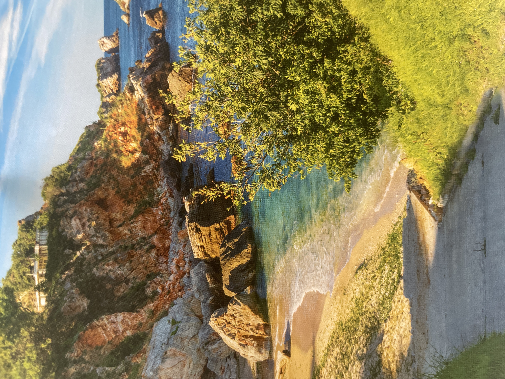 The image displays a serene coastal landscape bathed in warm, golden light, suggesting either early morning or late afternoon. The sky is clear blue with a few wispy white clouds.
On the left side of the frame, rugged, layered cliffs rise from the sea, showcasing varying shades of reddish-brown and grey rock. These cliffs extend into the clear, blue-green water, with some prominent rock formations visible both above and below the surface. A small, secluded sandy beach with gentle, frothy waves washing ashore is centrally located, nestled against the base of the cliffs.
Dominating the right side of the image is a large, vibrant green tree with dense foliage, its branches extending over the sandy beach and the water. Beyond the tree, a lush green grassy area transitions into a light-colored paved path or road that curves into the distance. Long shadows are cast across the path and beach, indicative of the low sun angle.
In the upper-left background, a structure, possibly a house or viewing platform, with visible railings, is built into the cliffside amidst the greenery. The scene is devoid of people or discernible activity, exuding an atmosphere of natural beauty and tranquility. No visible text is present. The visual evidence strongly indicates a coastal location, contradicting the provided location context of "Sofia, Bulgaria."