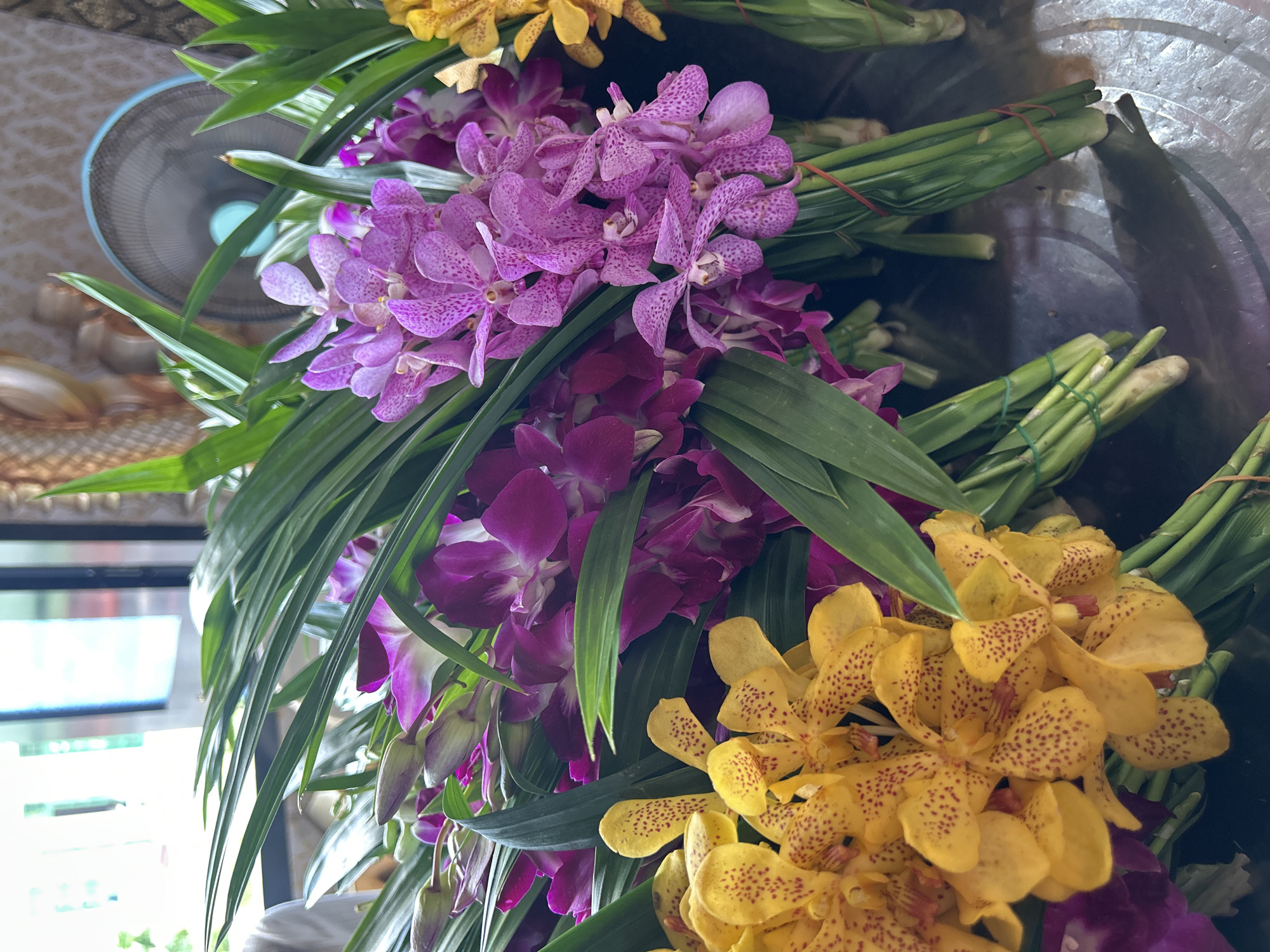 In Thai Ko Subdistrict, Thailand, a collection of freshly cut orchids are arranged on a metallic surface, possibly a table. The orchids are predominantly pink and yellow, with some deep purple blooms also visible. The pink orchids are smaller and have intricate speckles of a darker hue, while the yellow orchids are larger with distinct reddish-brown spots. Interspersed with the flowers are long, green leaves, likely from pandan plants, a common accompaniment to flower arrangements in Thailand. The flowers are bundled together with green ties and some red bands are also present. In the background, a blue oscillating fan is positioned behind the flowers. The overall impression is one of vibrant color and a sense of preparing for a cultural or religious offering, given the context of orchid arrangements in Thailand.