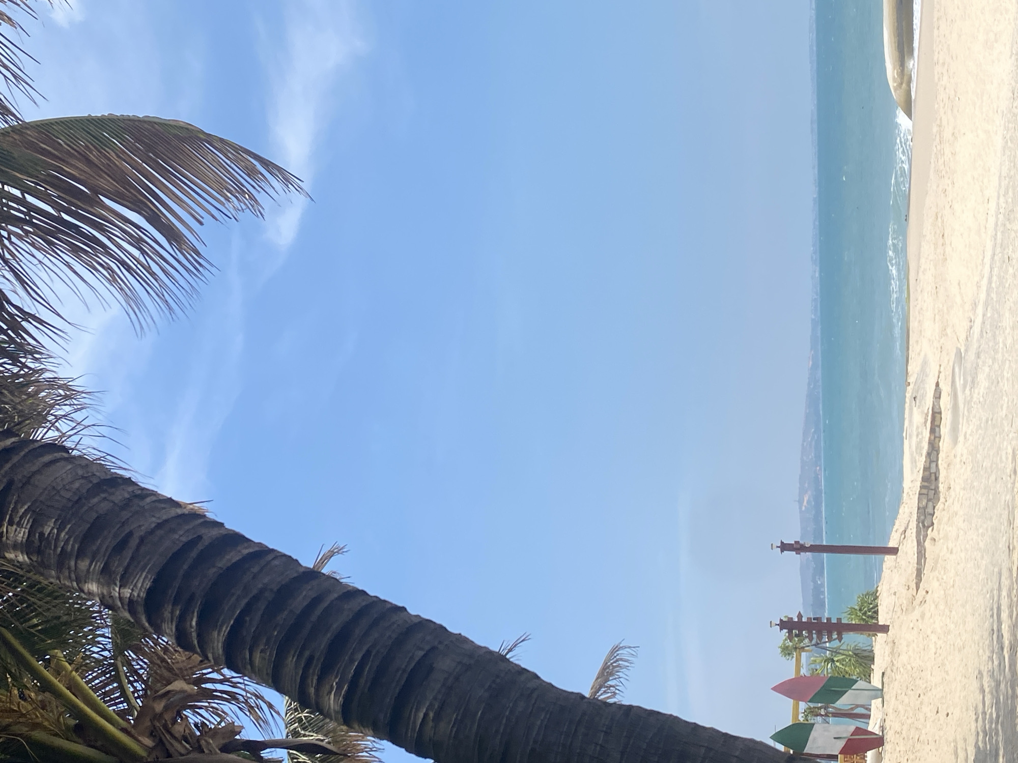 The image shows a beach scene in Phu Thuy Ward, Vietnam. A palm tree trunk dominates the left side of the frame, with its fronds extending towards the upper left corner. The sky is predominantly blue with scattered wisps of clouds. To the right, the ocean stretches out, meeting a sandy beach. In the distance, a blurred coastline is visible across the water. On the beach, there are posts and some surfboards. The lighting suggests a sunny day.