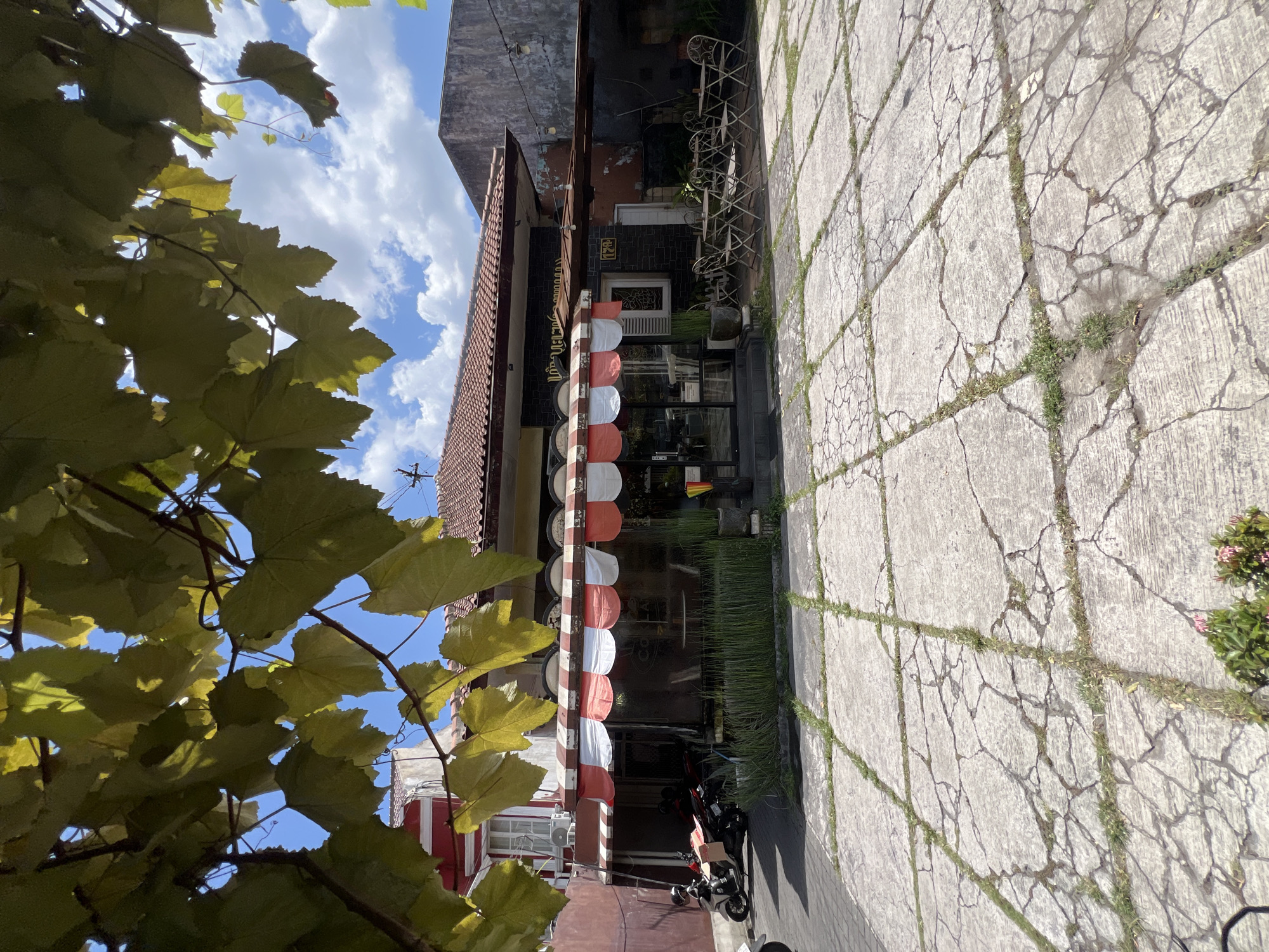 A street-level, eye-level, medium shot captures an outdoor seating area in front of a building in Yogyakarta, Indonesia. The foreground features a cracked concrete patio with grass growing in the crevices. In the middle ground, a building with a red and white striped awning is visible. Several motorcycles are parked to the left of the building entrance. To the right of the entrance, tables and chairs are set up for outdoor dining. Lush green plants surround the seating area. The background reveals a blue sky with fluffy white clouds. The overall scene suggests a casual dining establishment or cafe.