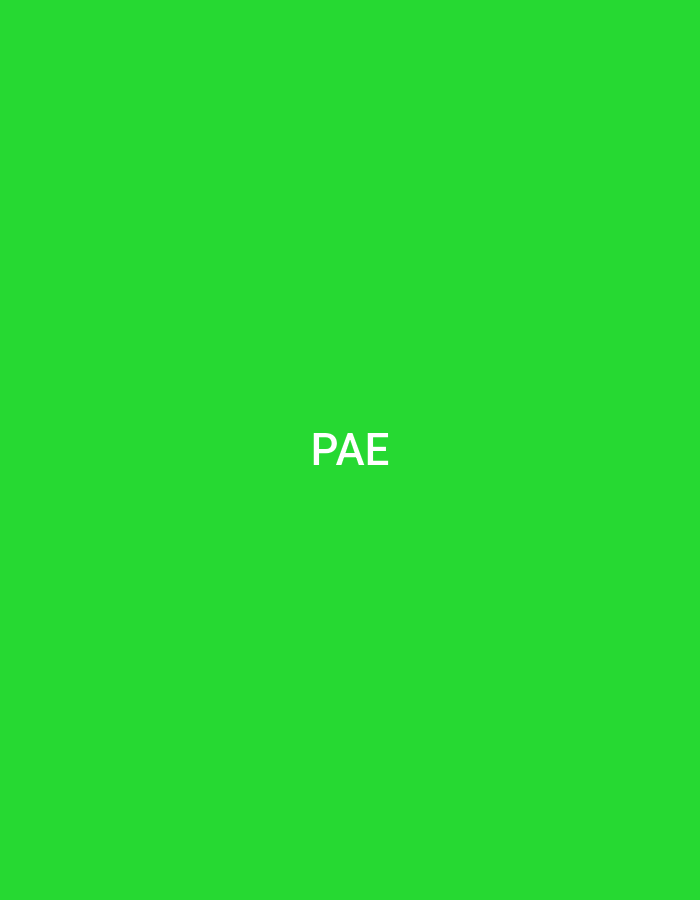 A digital image features a solid, vibrant green background. Centered on this monochromatic field are the capital letters "PAE," rendered in a clean, white, sans-serif typeface. The image contains no additional visual elements such as people, objects, specific environments, actions, or interactions. This visual representation is associated with the city of Casablanca, Morocco.