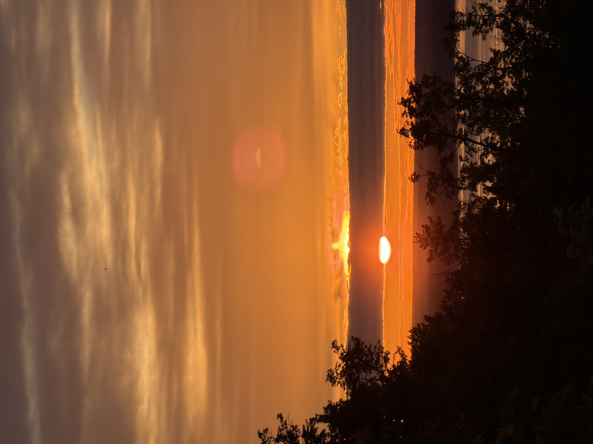 The image shows a sunset, likely over a body of water. The sky is filled with golden and orange hues, with some cloud formations present. A bright, partially obscured sun is visible near the horizon. Silhouetted trees line the right side of the frame, suggesting a wooded area. A small dark speck, likely a bird, is visible in the sky. Given the prompt's mention of Izhevsk, Russia, it is plausible the sunset is over the Izhevsk Pond or another nearby body of water.