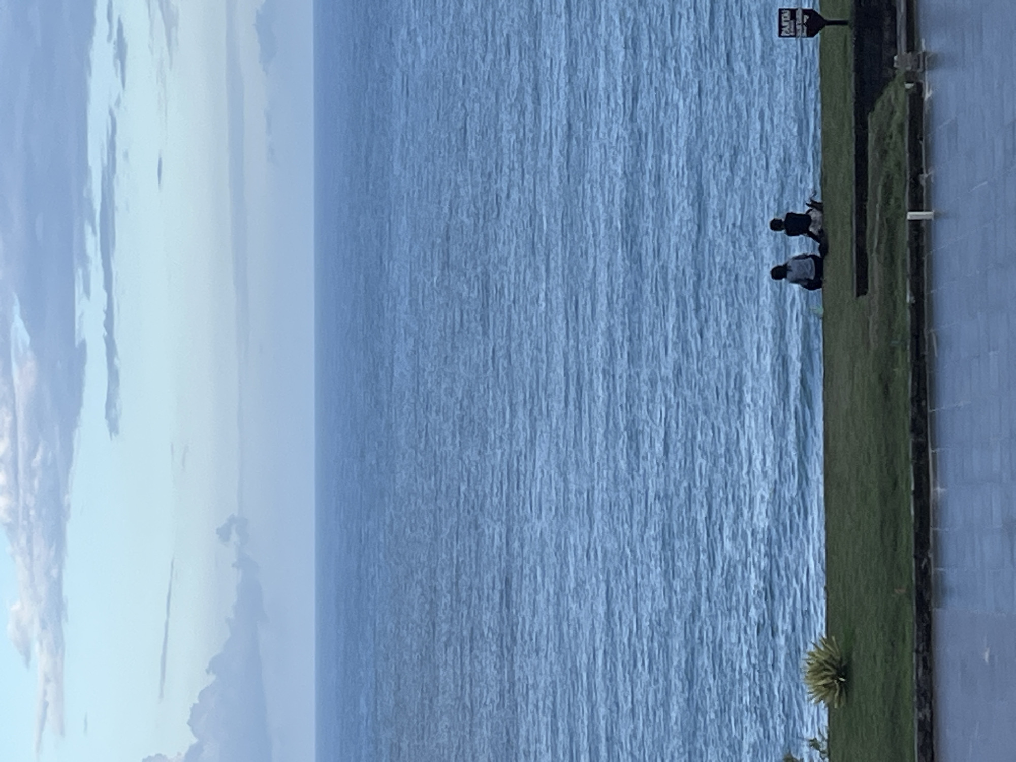 The scene is a vertical landscape photograph taken in Kuta Selatan, Indonesia. The sky, filled with wispy clouds, transitions to a calm, blue ocean that occupies the majority of the image. On the right side of the frame, a strip of green grass borders a tiled walkway. Two people, possibly children, are near a sign on the grassy area overlooking the ocean. A small spiky plant sits at the lower right corner of the frame near the ocean.