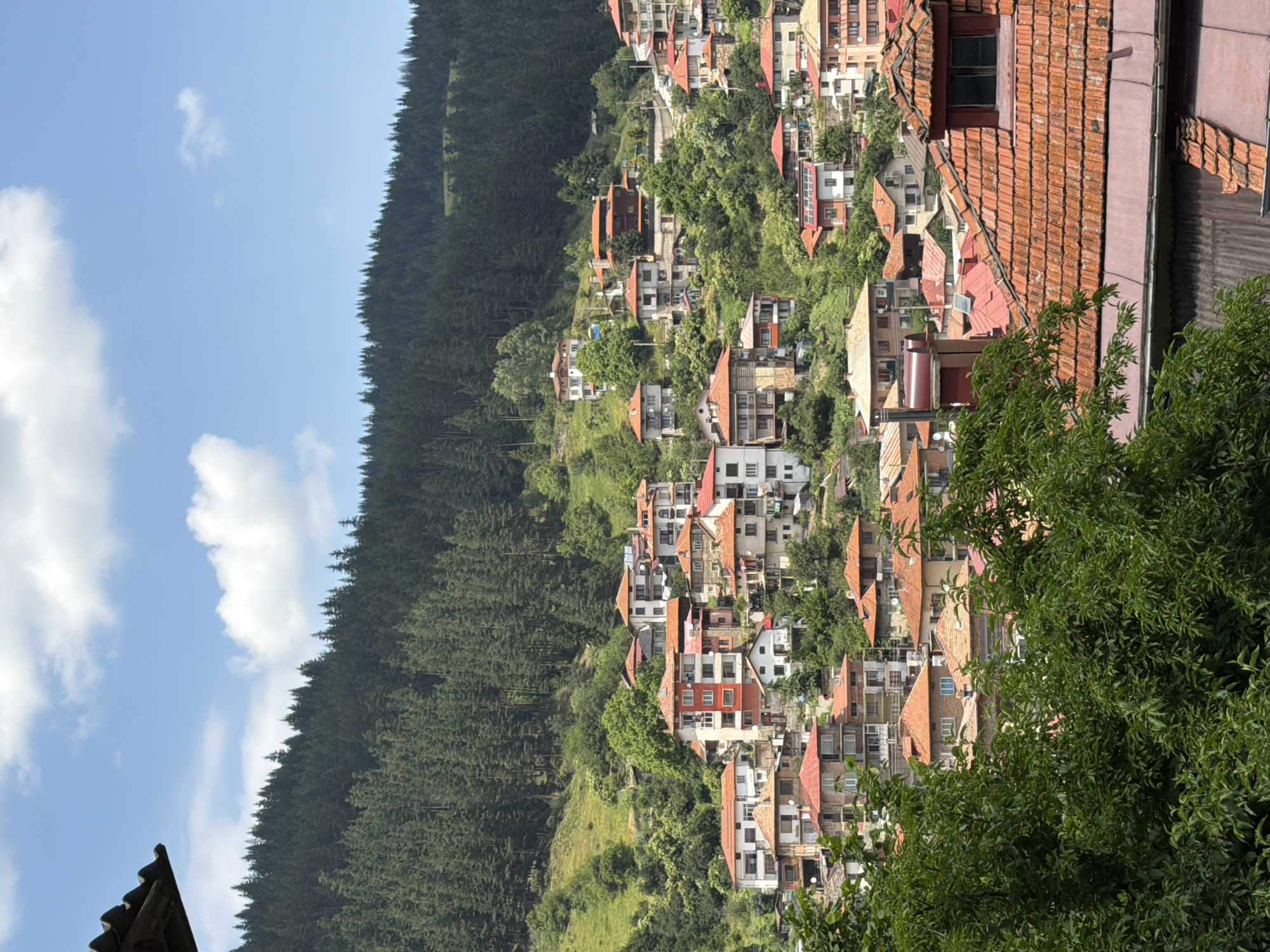 The image depicts a densely packed village situated on a hillside, with a dense forest bordering the upper portion of the scene. The architecture is characterized by multi-story buildings with terracotta-tiled roofs. Many of the buildings are painted in light colors, such as white and beige, with some featuring accents of red and orange. The village appears to be nestled within a mountainous or hilly terrain, as indicated by the steep incline of the land and the surrounding greenery. In the foreground, lush green foliage partially obscures the view of the lower buildings. The sky is partly cloudy with a bright blue hue, suggesting a clear day. No people are visible in the image.