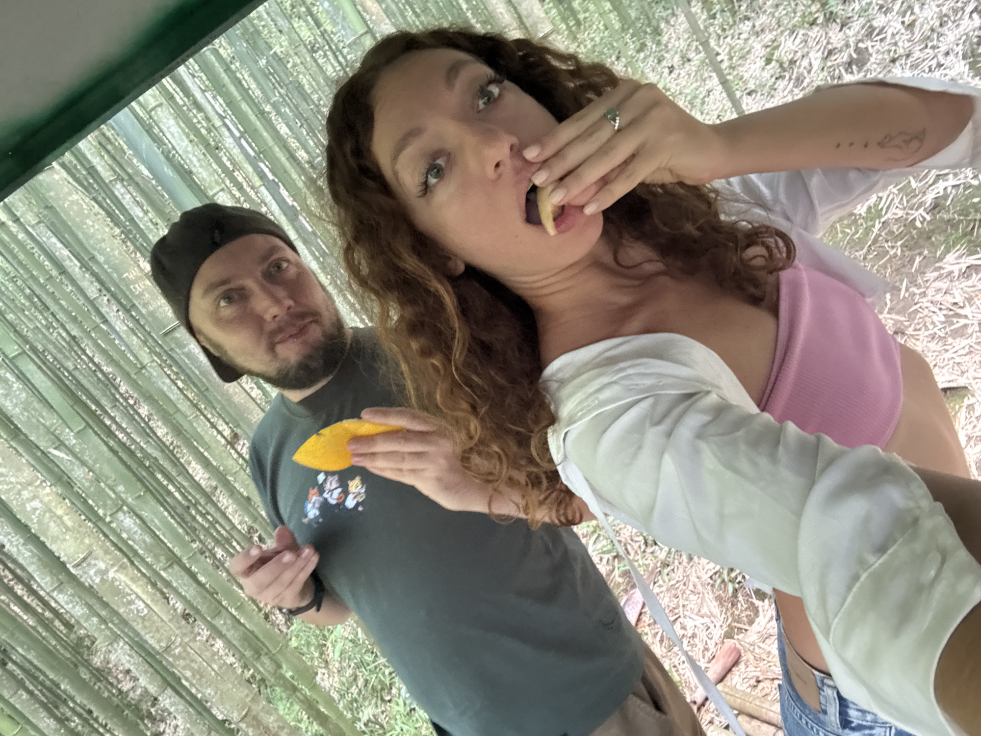 In the city of Púng Luông, Vietnam, a selfie captures two individuals against a backdrop of dense bamboo stalks. A man in a black beanie and grey t-shirt, adorned with a cartoon graphic, holds a piece of yellow fruit. Beside him, a woman with curly hair holds a piece of the same yellow fruit to her mouth with her fingers, while wearing a pink top covered by a white button-down shirt. The woman's left arm is extended, holding the camera, revealing a small tattoo on her forearm. The woman also wears a ring on her left hand.