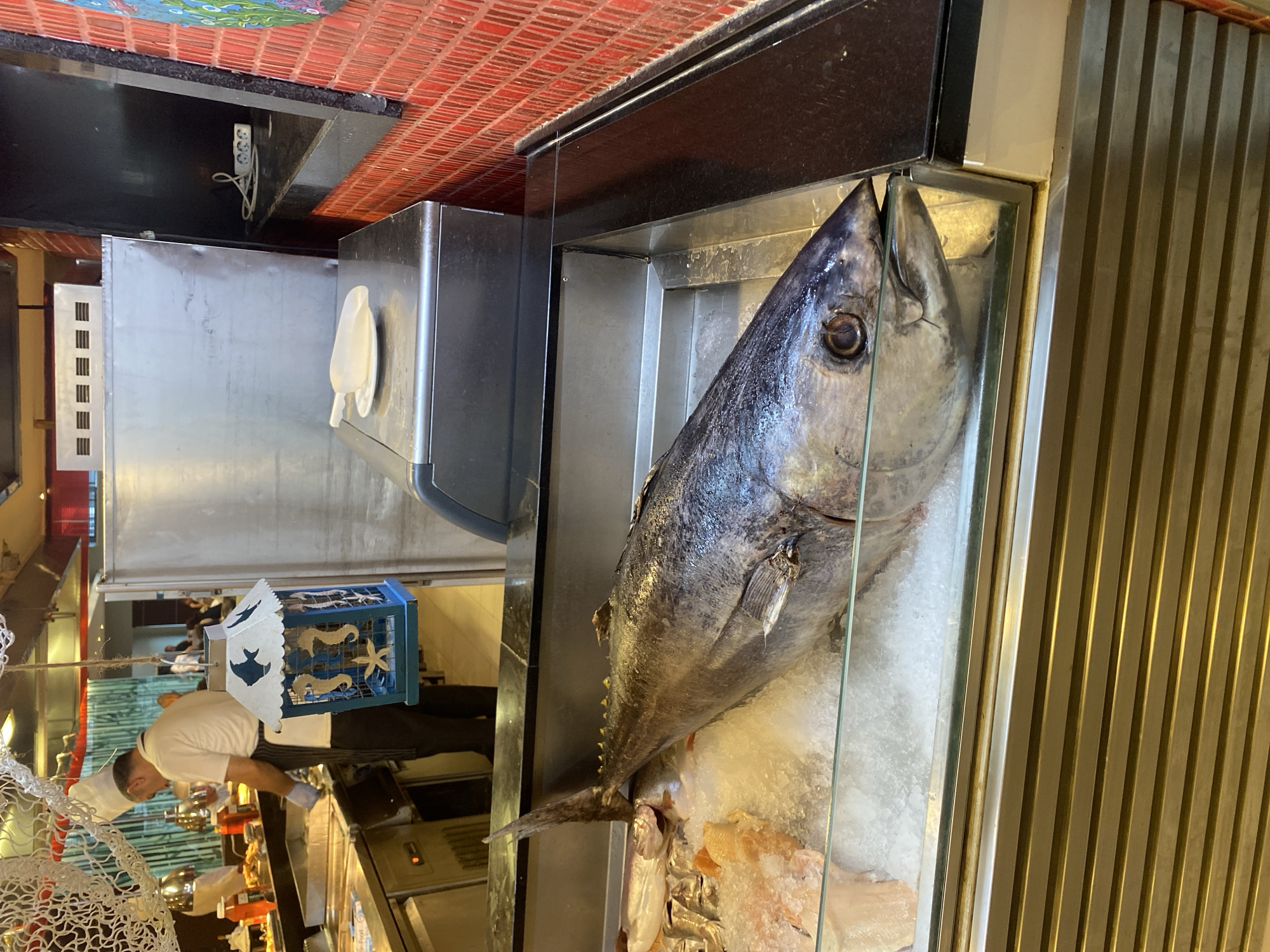 A close-up shot from an eye-level perspective captures a large, whole tuna fish displayed on ice in a refrigerated glass case at a seafood counter. The tuna's head is to the right, its dark eye clearly visible. Behind the tuna, other fish, some filleted, are also visible on the ice. The counter is made of stainless steel. In the background, a chef in a white uniform and hat stands behind a metal food preparation station, wearing blue gloves and holding tongs. To the right of the chef, a blue decorative lantern with marine life motifs hangs from a rope. Beyond that, a large stainless steel refrigerator and a red tiled wall are visible. The scene appears to be within a restaurant or market setting. The image does not provide any information to suggest a location in Aksu, Turkey.