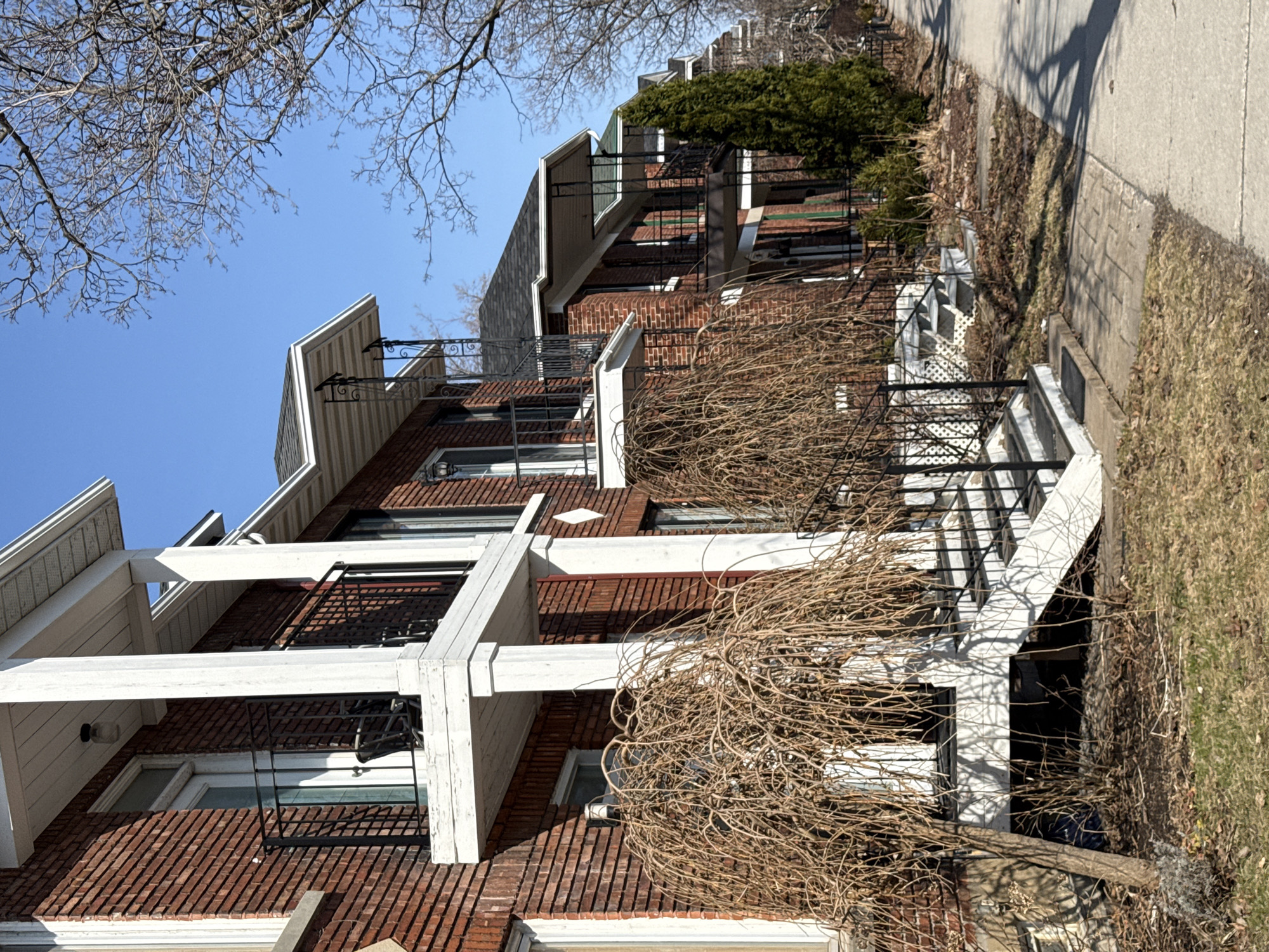 The image depicts a row of brick apartment buildings in Montreal, Canada. The buildings are three stories tall, with white trim and black iron balconies. A leafless tree obscures the view of the lower floors. A sidewalk runs along the side of the buildings. The sky is blue and there are bare tree branches visible in the top corner.