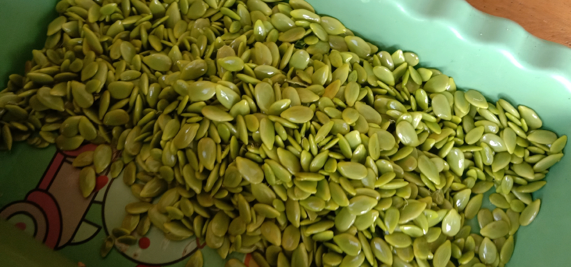 A pile of green, oval-shaped seeds is contained within a green, wavy-edged plastic basin. The seeds vary slightly in size and hue, with some appearing a lighter green and others a darker, more yellowish green. The basin is placed on a wooden surface, with a portion of a drawing visible on the side of the basin, depicting a figure with a round head and ears, possibly a cartoon character. The image captures a close-up, overhead view of the seeds. There is no information available about the location in Cangkring Rembang, Indonesia.