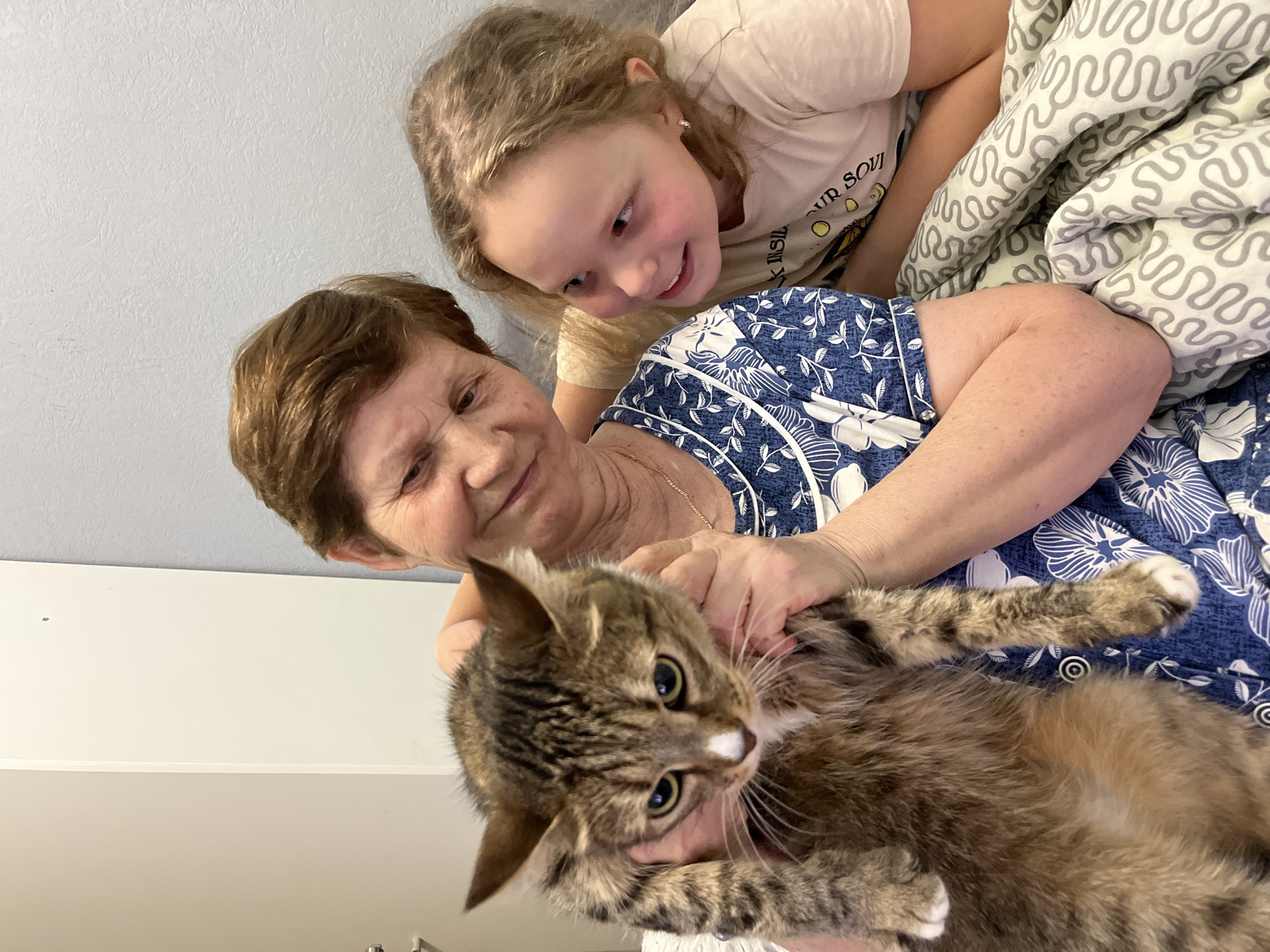 The image shows an elderly woman, a young girl, and a cat in an indoor setting. The woman is holding the cat, while the girl leans in to look at it with a smile. The background appears to be a room with light-colored walls. There is no evidence to support that the location is Izhevsk, Russia.
