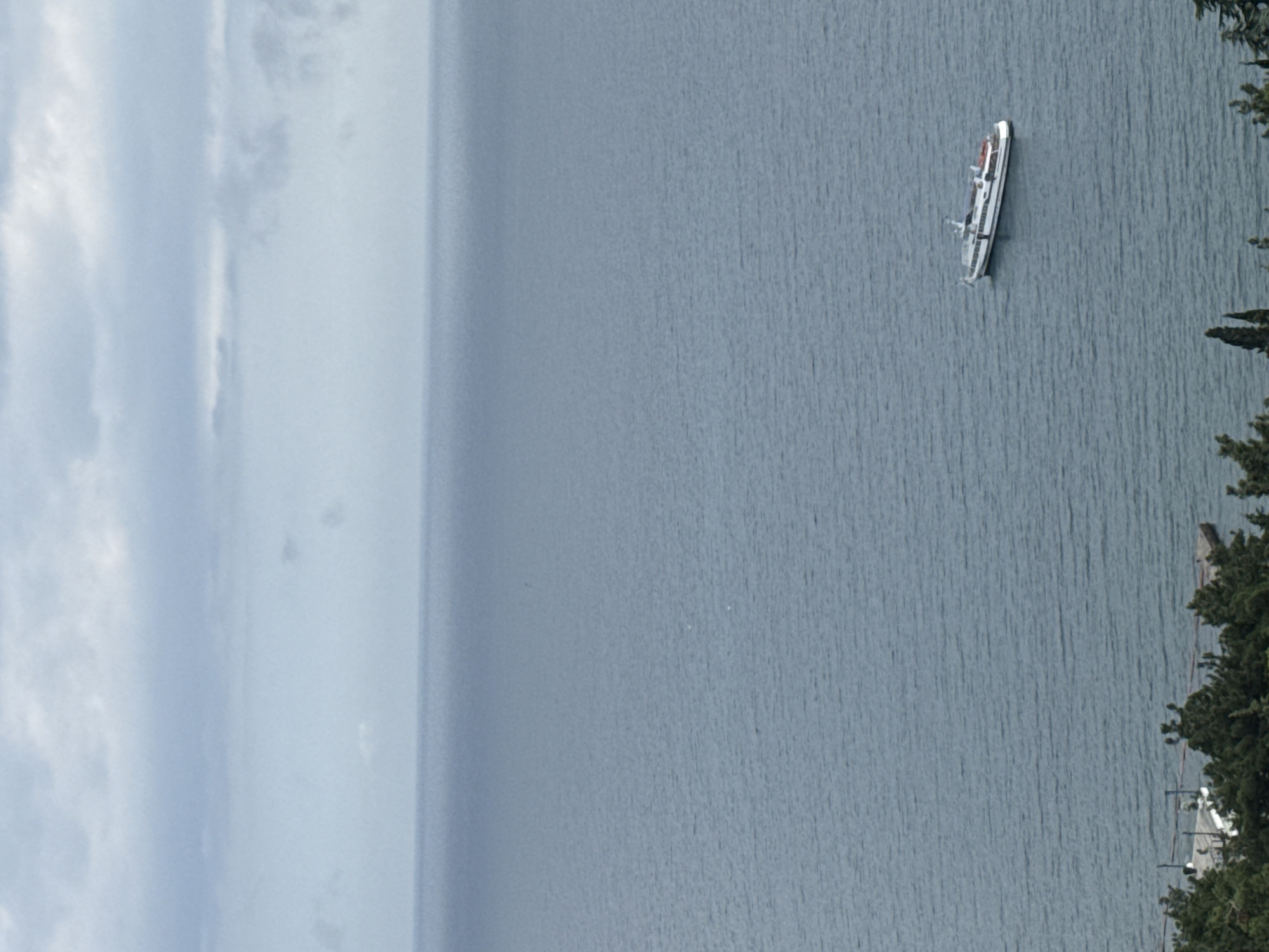 A wide-angle, high-angle shot captures a vast expanse of the sea under a cloudy sky. The water is a muted blue-gray, with subtle ripples indicating a gentle wave pattern. In the mid-distance, a white passenger hydrofoil boat with red accents is sailing. The boat is elongated and sleek, with multiple decks visible. In the foreground, a dense cluster of dark green trees forms a natural border along the coastline. A small, concrete pier or platform extends into the water from the left side, with a white structure, possibly a building or shelter, situated on it. Another, smaller concrete structure is visible further out in the water on the right. The horizon is slightly obscured by a thin layer of haze or low-lying clouds. The overall scene conveys a sense of calm, with the overcast sky muting the colors of the landscape.