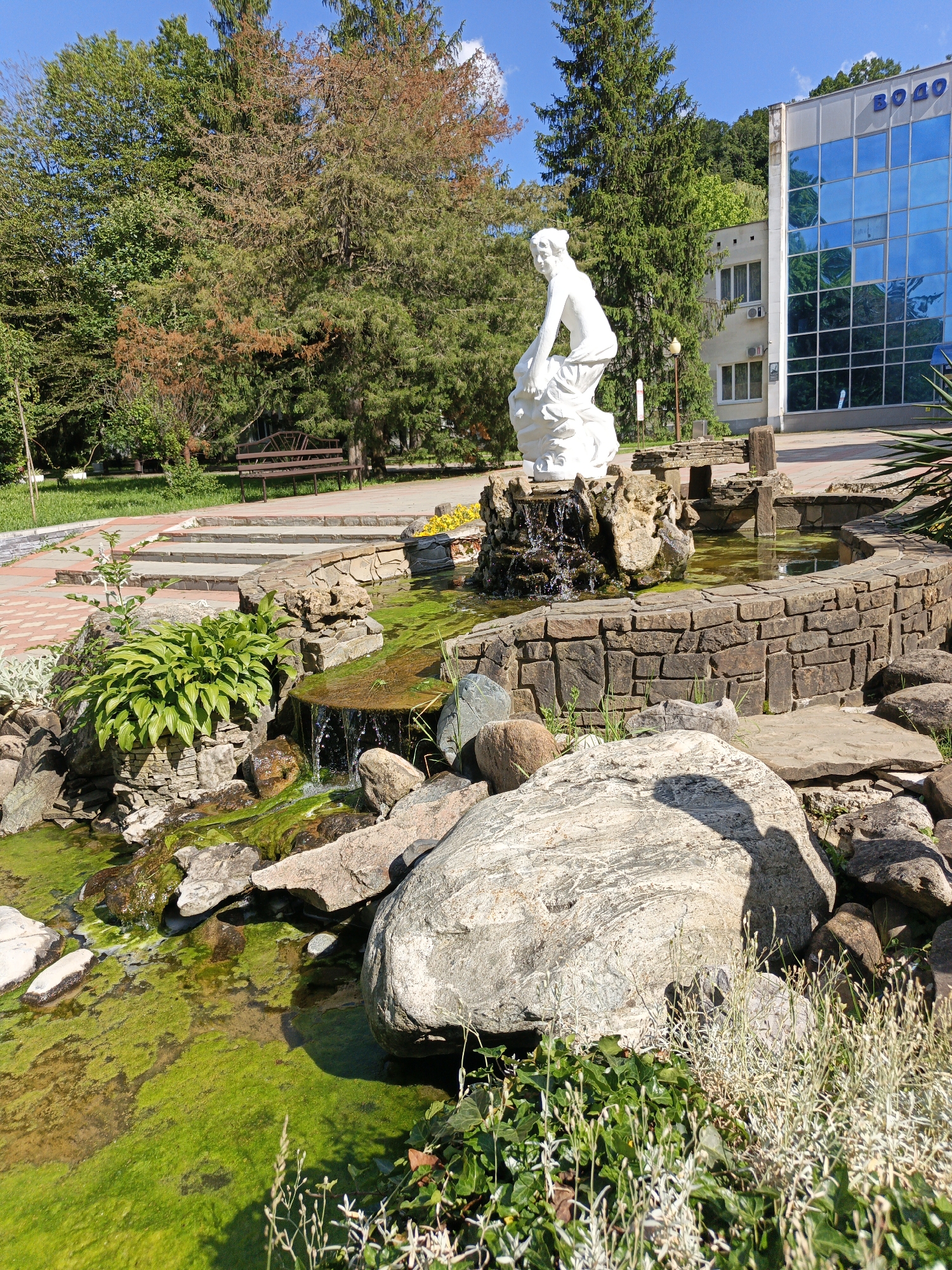 The image portrays a sunlit outdoor scene, likely a park or garden in Goryachiy Klyuch, Russia. In the mid-ground, a white classical statue of a female figure, possibly a nymph, kneels on a rock at the center of a stone fountain. Water cascades from beneath the statue and flows through a series of natural rock formations into a pond or stream, which is distinctly covered with vibrant green algae.
The landscaping around the fountain features various elements, including large, rough boulders, smooth paving stones, and a rich assortment of plants. Lush green hostas grow prominently near a small waterfall, while ivy and other ground cover plants are visible closer to the viewer. In the background, a cluster of tall, diverse trees provides shade; some have full green canopies, while others display significant portions of brown or dried foliage. A brown metal park bench sits on a paved path in the distance, indicating a recreational area.
To the right, a modern building with a grey facade and large, reflective blue glass windows is visible. The Cyrillic text "ВОДО" is clearly displayed on the building's upper section. The bright, clear blue sky and prominent shadows cast by objects, including what appears to be a person's shadow on a large rock in the foreground, suggest it is a sunny day, likely around midday or early afternoon. The scene conveys a tranquil, well-maintained natural environment with architectural elements.