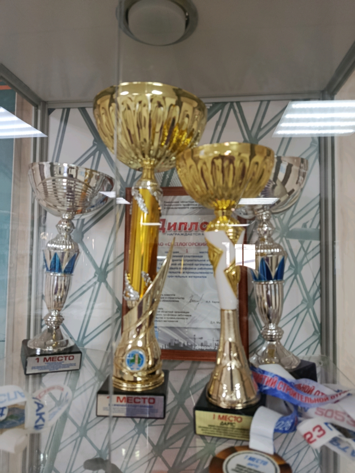This is a vertical, medium shot photograph taken indoors, likely in a display case, featuring a collection of trophies and medals. The trophies are made of shiny gold and silver materials, with varying designs. Some have wide, shallow bowls, while others have taller, more ornate shapes. They are all mounted on dark bases, many of which have labels indicating "1 МЕСТО" (1st Place).
Behind the trophies, a framed certificate is visible, bearing Russian text and a city skyline illustration. Medals with ribbons are also scattered around the bases of some trophies. One ribbon is predominantly white with blue and red lettering, and another shows red numbers "23".
The background is a patterned wallpaper with a geometric design of light green lines forming interconnected diamond shapes on a white surface. The display case itself is made of glass, and there are reflections visible on its surface, including fluorescent lighting strips at the top of the frame and parts of the surrounding environment.
Based on the presence of Cyrillic text, including place names and common Russian/Belarusian award phrases like "1 МЕСТО" and the context provided by the prompt regarding the city of Svietlahorsk, Belarus, it is highly probable that this collection of awards is displayed in a public institution or a place of significance within that city. The overall impression is one of achievement and recognition.