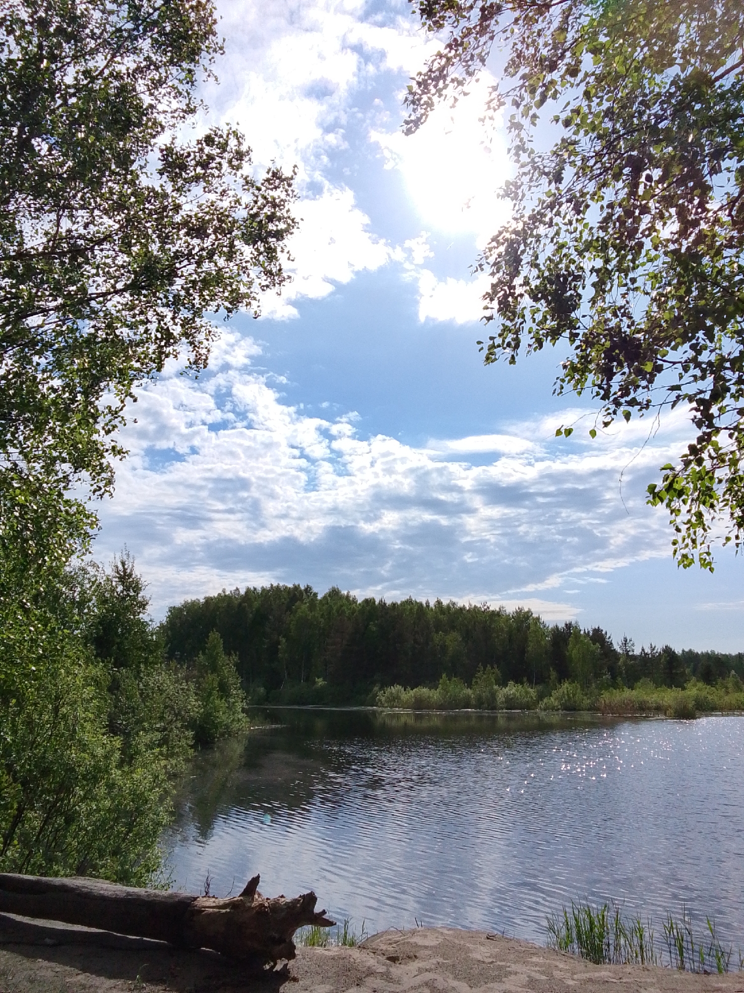 The image shows a lake surrounded by trees. The sky is blue with white clouds and the sun is shining brightly. In the foreground, there is a fallen tree trunk on a sandy bank. The lake is calm, with sunlight reflecting off the surface. Behind the lake, there is a dense forest. The scene appears to be a natural environment, possibly a park or wilderness area. There are no visible people or signs indicating a specific location within 1-Go Maya, Russia.