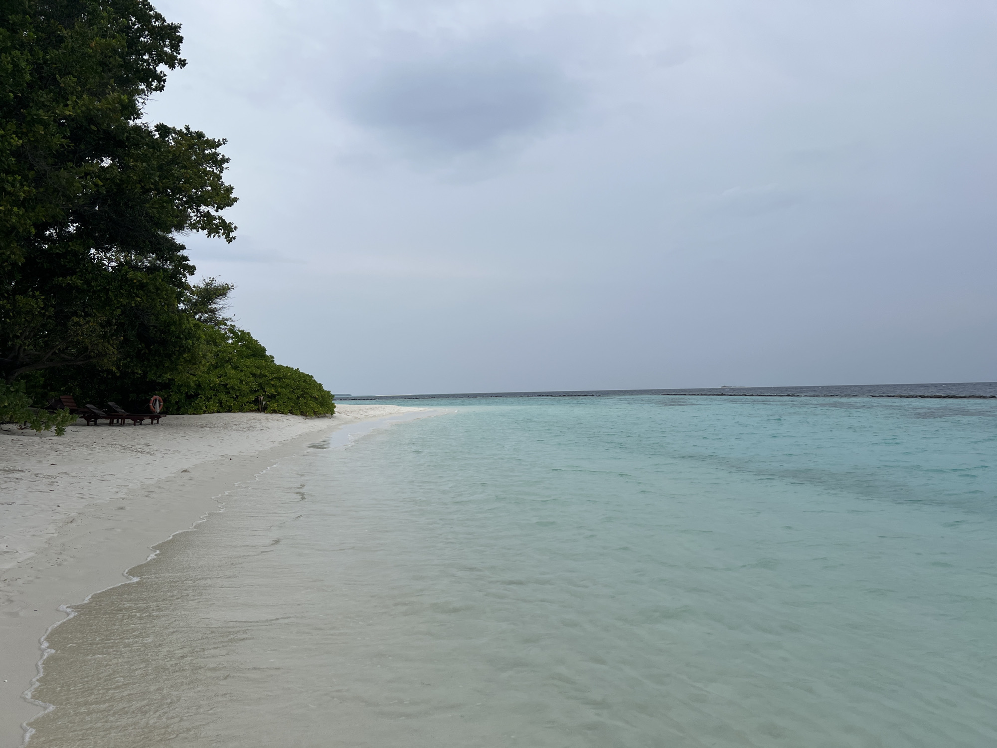 The image depicts a beach scene with white sand and clear, turquoise water. A line of dark green vegetation, including trees, borders the beach on the left side. Several beach chairs and a life preserver are visible under the trees. The sky is overcast and gray. The location is Unknown, Unknown. A dark line, potentially a reef or land mass, is visible in the distance across the water.