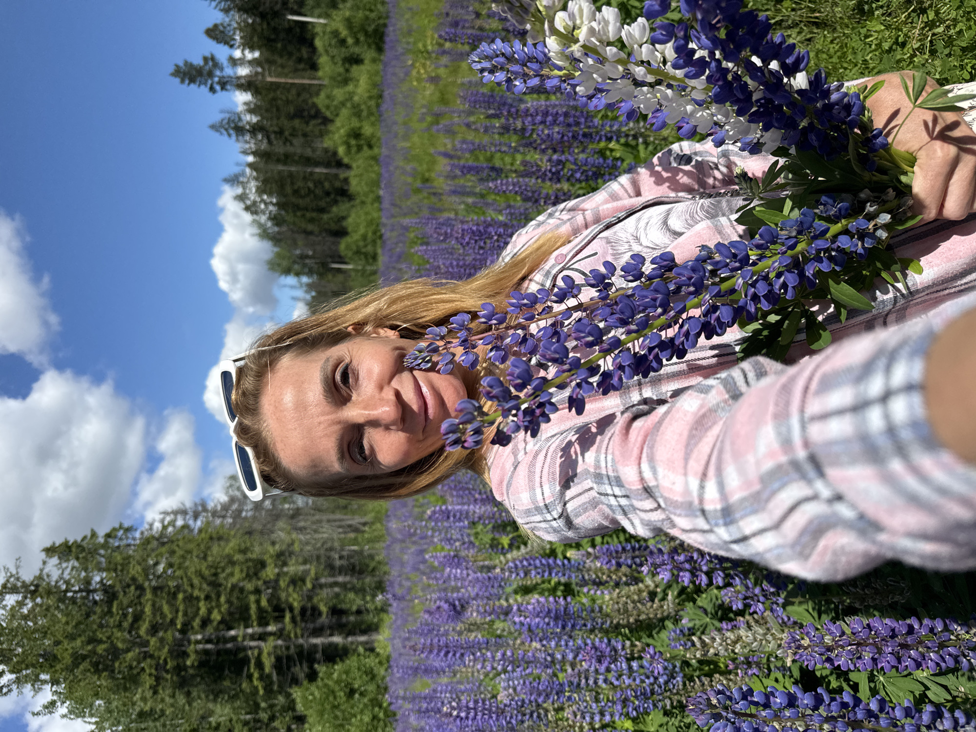 A blonde woman with sunglasses on her head is holding a bouquet of purple and white flowers in a field of lupine flowers under a blue sky with white clouds. The woman is wearing a pink and white plaid shirt. In the background, there are tall green trees and a forest. The location is Unknown, Russia.