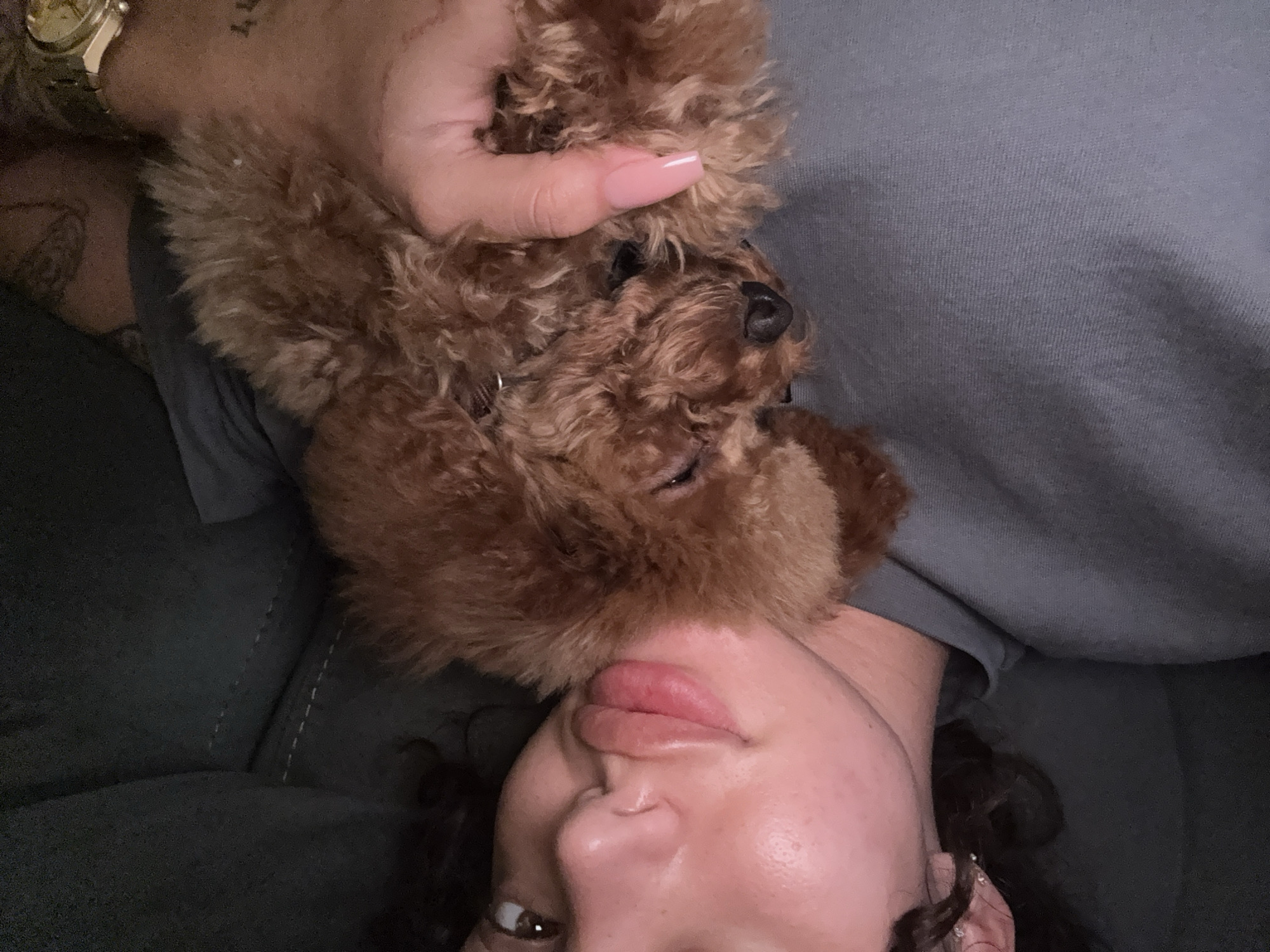 A woman is holding a brown poodle. The background suggests an indoor setting with dark furniture. The location cannot be determined from this image.