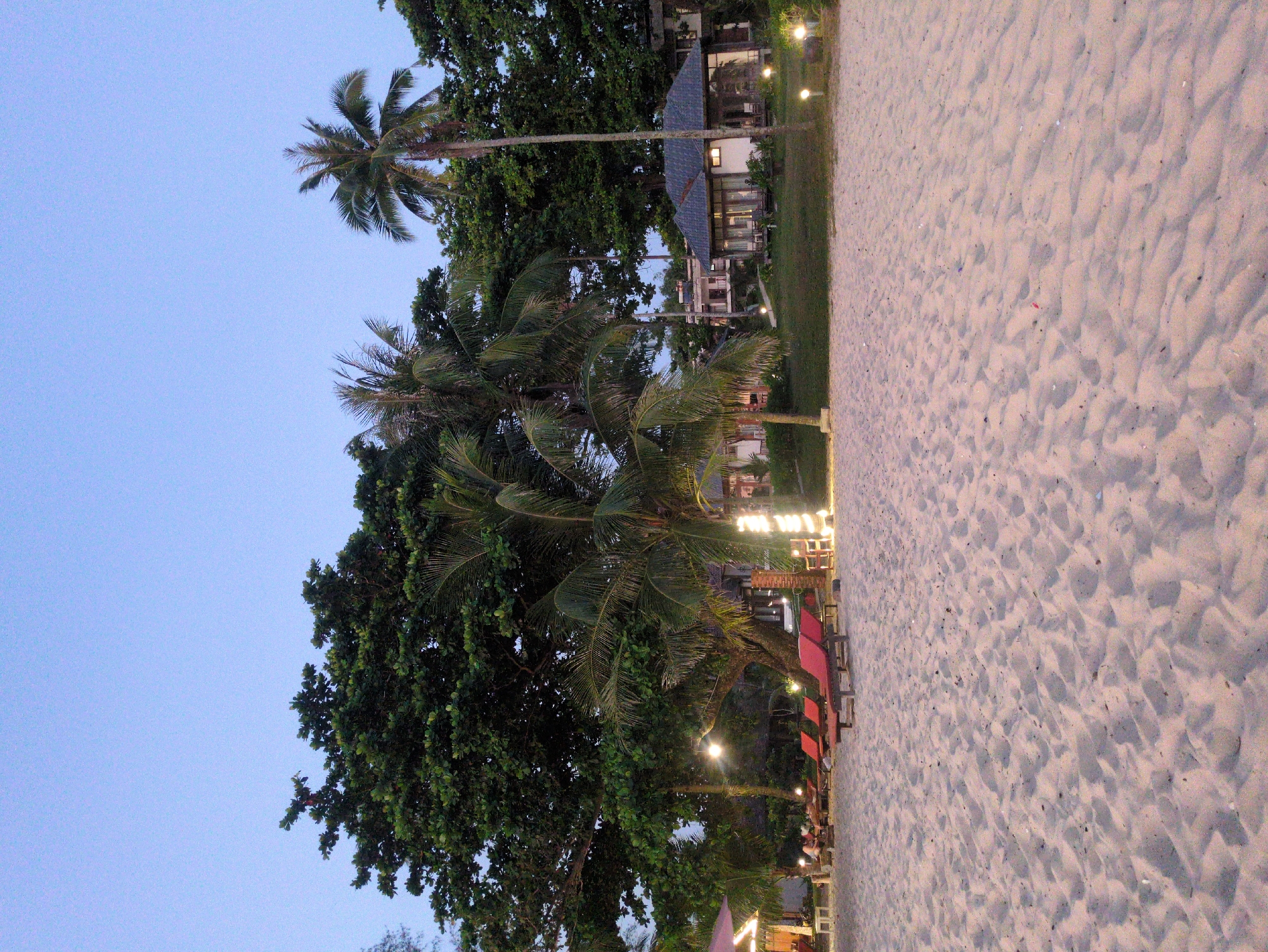 The image captures a scene on a beach in Phú Quốc, Vietnam, at dusk or dawn. The sky is a pale blue. Tall palm trees are visible, their trunks and fronds silhouetted against the sky, with denser foliage of other trees nearby. Adjacent to the vegetation, a sandy beach dominates the right side of the frame. Beachside infrastructure, like seating and lighting, hints at a commercial setting. A building can be seen in the background.