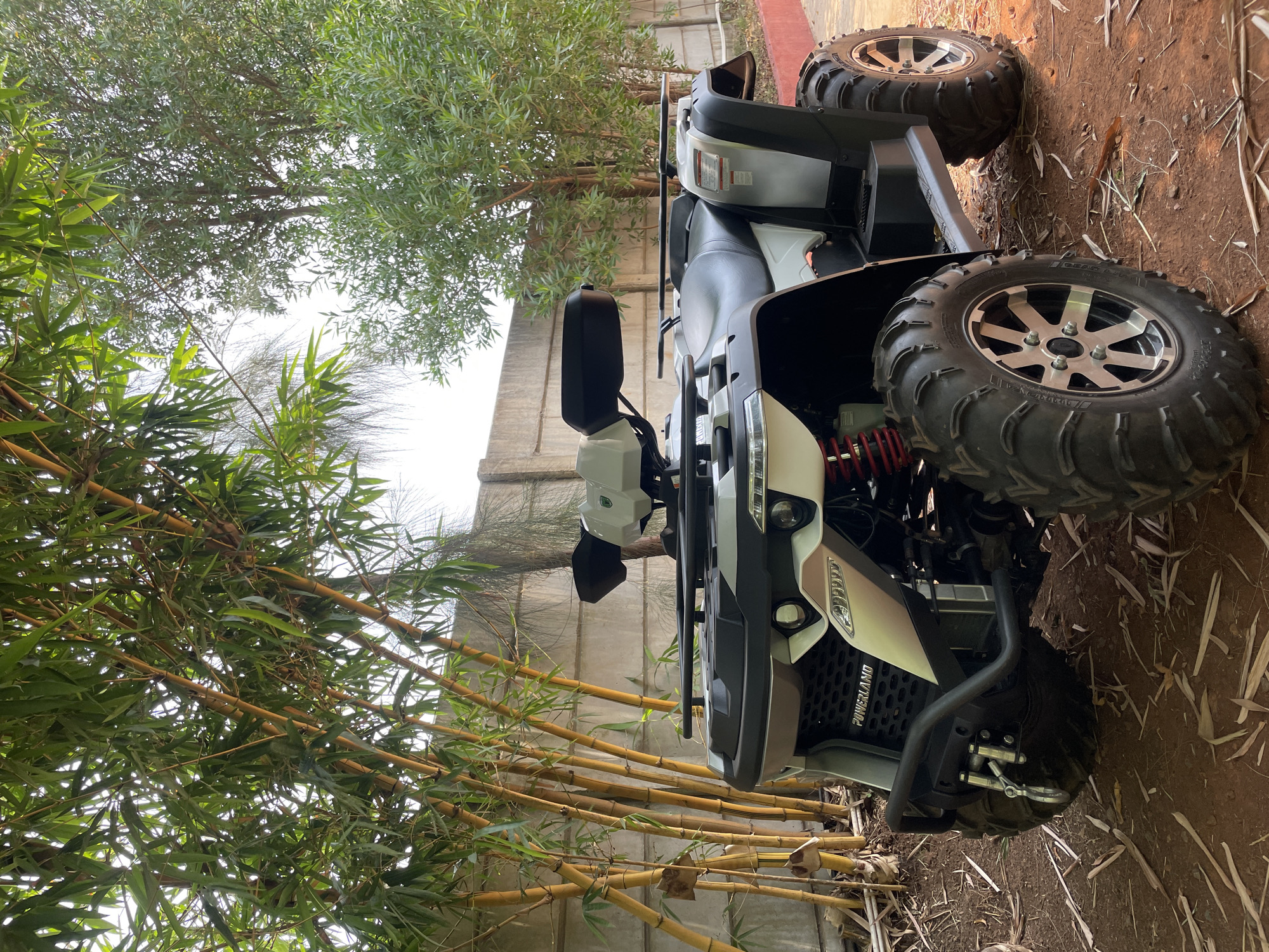 An ATV (All-Terrain Vehicle) or quad bike, predominantly white and black, is parked outdoors on reddish-brown dirt ground. The vehicle features large, rugged off-road tires with silver multi-spoke rims, prominent red suspension components, black side mirrors, and black utility racks at the front and rear. The brand "POWERLAND" is clearly visible on the ATV's front grille, and "GEAR LITE" is discernible on the tire sidewalls.
The setting is an outdoor environment with lush vegetation. On the left side of the frame, a dense cluster of vibrant green bamboo plants with golden-brown stalks extends upwards, partially obscuring a light gray concrete wall in the background. In the upper part of the image, a tree with smaller, dark green leaves is visible. The ground surrounding the ATV is uneven, covered with sparse dry leaves and plant debris.
The bright, diffused lighting suggests it is daytime. The scene evokes a natural or semi-rural outdoor setting, consistent with the Dhundshi, India location. No individuals are present, and the ATV appears stationary, implying it is either parked or awaiting use.