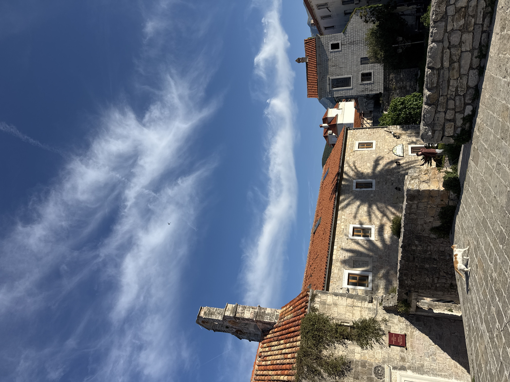 This image captures a vibrant, sunlit scene in an old town, confirmed by context as Budva, Montenegro. The upper half of the frame is dominated by a clear blue sky, interspersed with graceful, wispy white cirrus clouds. A small, dark bird is visible in flight high in the sky, and a faint airplane contrail streaks across the upper left.
The lower half of the image showcases traditional stone buildings with distinct red tiled roofs. A prominent building on the right features several windows and is partially covered by the sharp, intricate shadow of a palm tree, indicating strong direct sunlight, likely during late morning or early afternoon. Adjacent to this building, on a textured stone path or wall, an orange and white cat is seen lying down, seemingly basking in the sun.
Further into the scene, other stone structures are visible, including a tall, narrow stone tower or spire on the far left, rising above surrounding rooftops. Patches of green foliage cling to the ancient stone walls of the buildings. A small red plaque affixed to a building near the bottom right contains text. Visible words include "CRKVA SV. SAVA" (Church of St. Sava), "XVI VIJEK" (16th Century), and "ULAZ ZABRANJEN" (Entrance Forbidden). The overall impression is that of a historic, picturesque Mediterranean town on a bright, clear day.