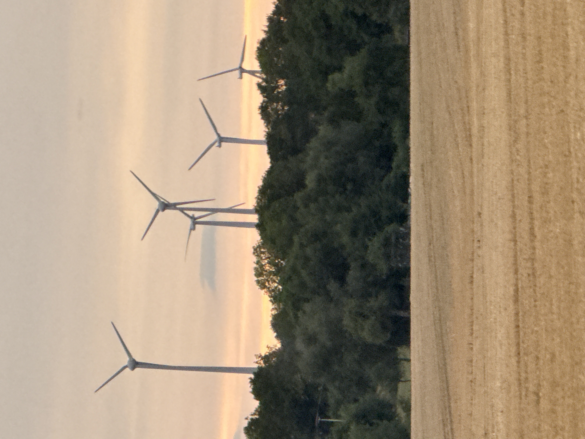 A panoramic view shows a line of wind turbines silhouetted against a pale, hazy sky with a soft orange glow near the horizon. In the foreground, a harvested wheat field stretches across the bottom of the frame, its golden stubble marked by faint tractor tracks. Behind the field, a dense line of dark green trees forms a natural barrier, with the tops of the wind turbines emerging from behind them. The scene appears to be set in a rural area, possibly the outskirts of Hohenstein, Germany, given the prominent presence of wind turbines which are common in the region's landscape. No people or animals are visible in the frame. The overall impression is one of a serene, late afternoon or early evening landscape.