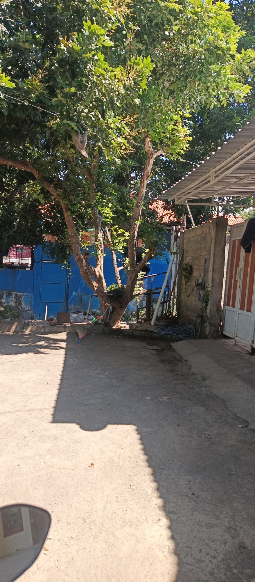 The image depicts an outdoor scene in Jatisari, Indonesia, characterized by a shaded area under a large tree. The foreground is dominated by a concrete ground surface, part of which is illuminated by sunlight and the other part in shadow, cast by an unseen object likely to the left. A motorcycle mirror is partially visible in the lower left corner, reflecting a room with a window.
Behind the tree, a blue metallic wall or fence stretches across the mid-ground, featuring a barred window on the left. To the right of the blue wall, a brick wall extends, supporting a corrugated metal roof structure. Various objects are scattered in the area: a broom with a blue and red handle rests on the ground near the base of the tree, and a coiled blue hose is visible near the brick wall. A garden hose is also seen attached to a spigot on the brick wall. The overall environment appears to be a residential or semi-industrial yard. The lighting suggests it is daytime, with the sun positioned to the right.