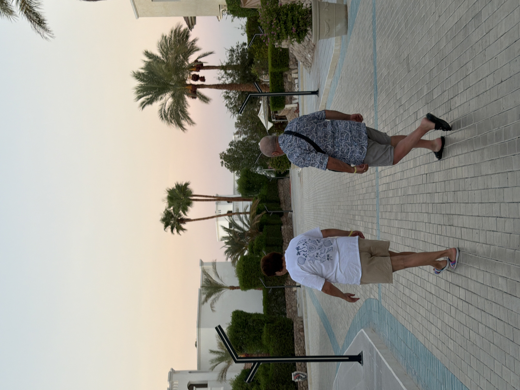 Two individuals, a woman from the rear and a man from the rear, walk on a paved walkway in Sharm El Sheikh, Egypt. The woman, on the left, wears a white t-shirt and tan shorts, with colorful sandals. The man, on the right, is in a patterned short-sleeved shirt, gray shorts, and black sandals, with a dark strap across his shoulder. The walkway is lined with manicured hedges and palm trees. In the background, several white buildings with arched windows are visible. The sky is a soft gradient of pale blue and pink, suggesting dusk. Streetlights with multiple arms are positioned along the walkway. A large potted plant with flowering bushes sits to the right of the man. The scene appears to be a resort or hotel area.