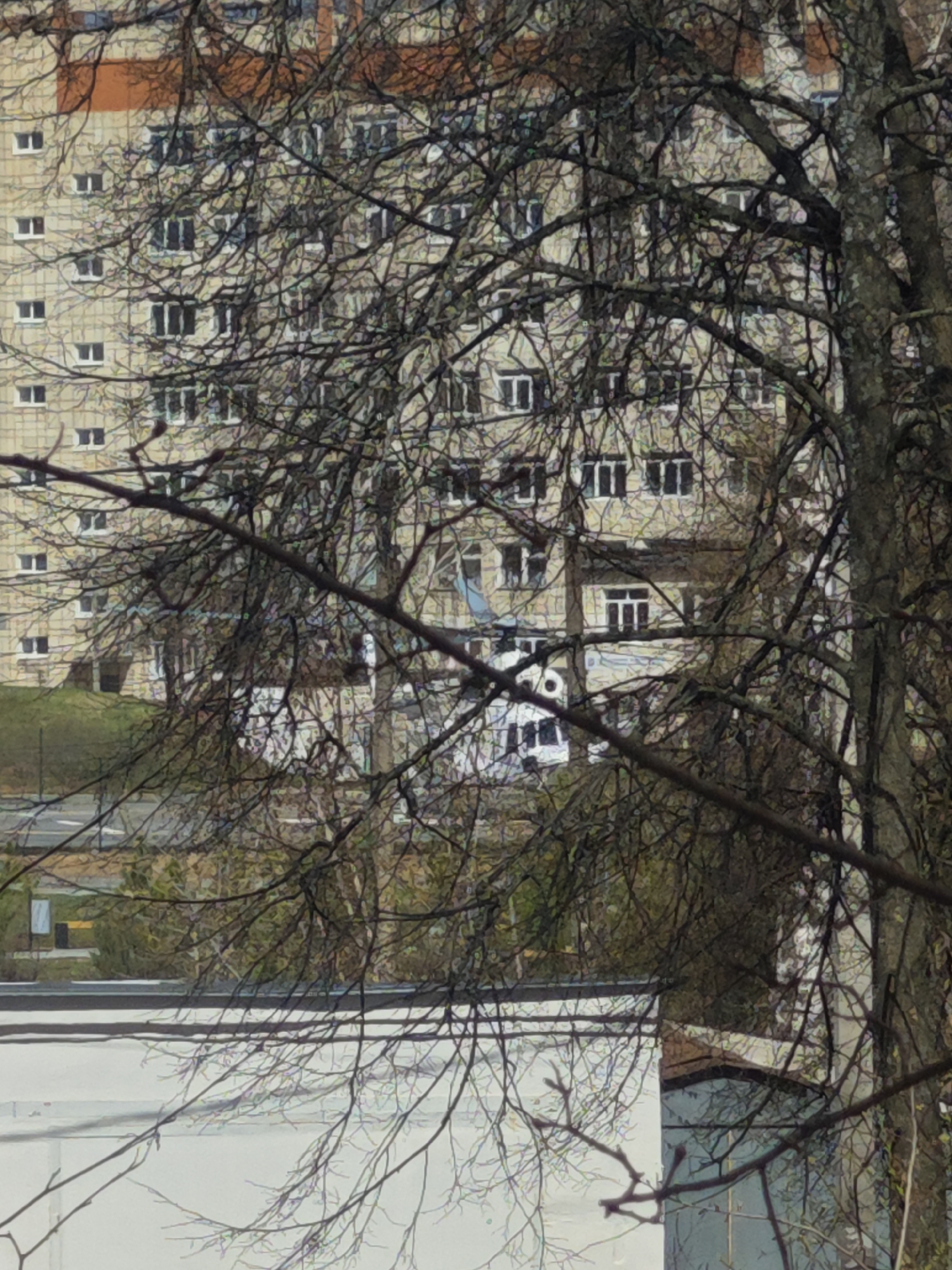 The image presents a view of an urban or suburban landscape dominated by a large, bare deciduous tree in the foreground. The tree's dense network of leafless branches, indicating winter or early spring, heavily obscures the background. Its trunk is visible on the right side.
Behind the tree, a multi-story building with a light-colored, possibly beige or off-white, facade stands prominently. This building features numerous rectangular windows, some appearing dark, possibly indicating reflections or interior shadows. The uppermost section of the building has a reddish-brown color, likely part of the roof or an architectural element.
In the middle ground, below the main building, other less distinct structures and patches of greenery are visible. A road or paved area with a white line can be faintly seen on the left. The bottom of the frame shows a large, flat white surface, possibly a roof or building wall, along with some blue-grey structures.
The scene is captured during the daytime under what appears to be overcast conditions, as there are no strong shadows and the light is diffused. No people or specific activities are depicted. There is no visible text in the image.