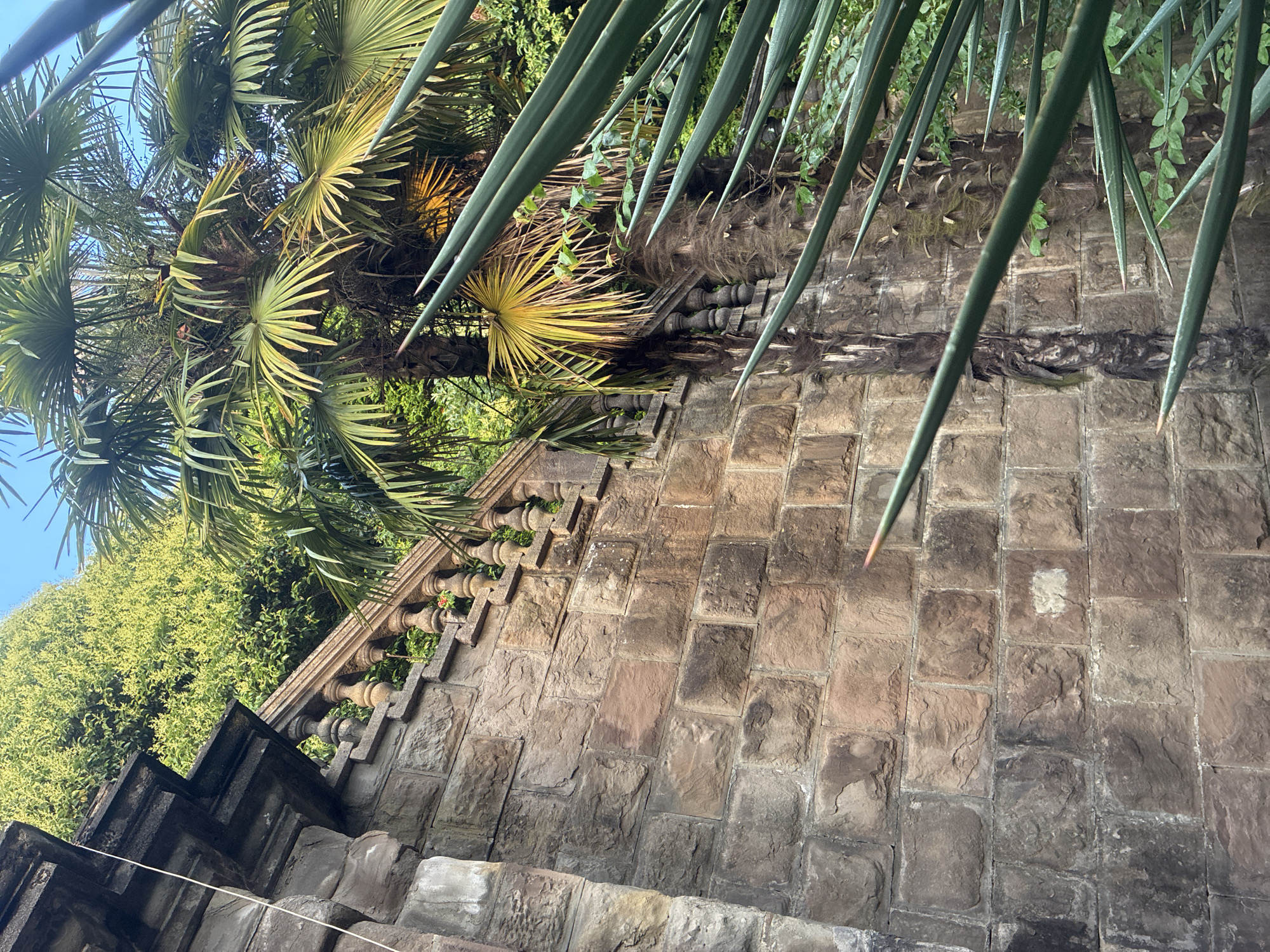 The image captures a close-up view of a stone wall and lush vegetation, likely in Sochi, Russia, given the presence of palm trees. The wall is constructed from large, rough-hewn stones of varying earthy tones, with some showing signs of age and weathering. To the right of the wall, a palm tree with a textured trunk and large, fan-shaped fronds is visible, some of which are tinged with yellow, indicating they might be older or receiving direct sunlight. In the foreground, the spiky green leaves of another plant, possibly a yucca or similar succulent, partially obscure the view of the wall and palm tree. Behind the stone structure, a dense canopy of green foliage, likely trees and bushes, creates a vibrant, verdant backdrop. The scene is bathed in natural light, suggesting it was taken outdoors during the daytime. A clear blue sky is visible in the upper right corner. The overall impression is one of a tranquil, semi-tropical setting with a blend of man-made architecture and abundant plant life.