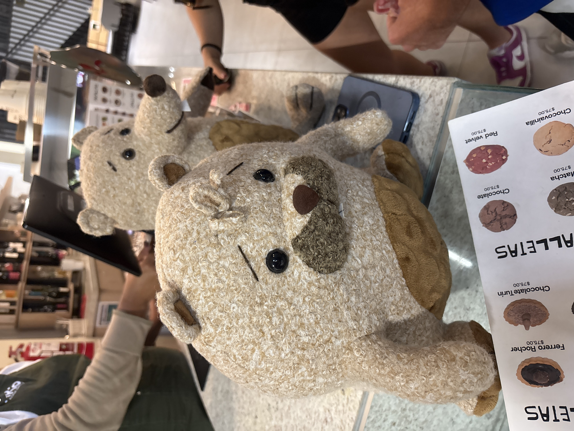 The image depicts an indoor scene within what appears to be a cafe, bakery, or retail shop in Puebla, Mexico. The primary subjects are two plush, light-brown, shaggy-textured toys resembling dogs or bears, displayed prominently on a light-colored counter or table. The toy in the foreground has distinctive black button eyes, a stitched smile, and a brown snout.
Several individuals are present. On the left, a person wearing a light-colored long-sleeved shirt and a green apron is visible, holding a black tablet, suggesting they might be an employee attending to a transaction or order. In the upper background, another person's torso and arms are visible, and in the upper right, a third person's legs and feet, clad in purple and white sneakers, are partially captured. A smartphone in a blue case rests on the counter near the plush toys. Behind the counter, shelves filled with bottles, possibly beverages or other products, indicate a commercial setting.
A white menu or sign is displayed on the right, listing various types of "GALLETAS" (cookies). The menu clearly shows prices of "$75.00" for each item, which, in the context of Puebla, Mexico, refers to Mexican pesos. Visible cookie flavors include "Red velvet," "Chocovainilla," "Chocolate," "Matcha," "Chocolate Turín," and "Ferrero Rocher." The lighting suggests an indoor setting during the day or a well-lit evening. No specific emotions are evident from the partial views of the people.