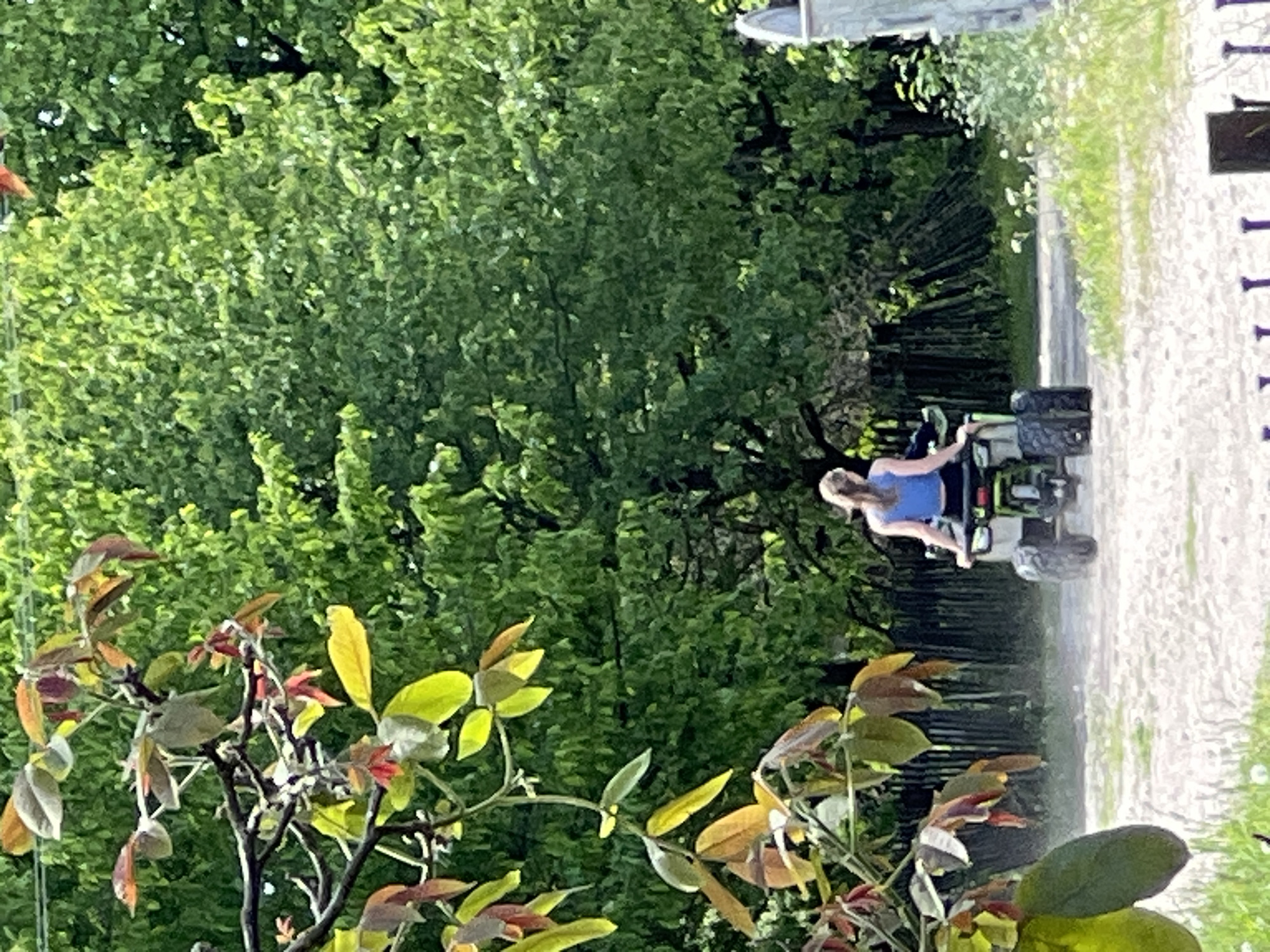 A woman in a blue tank top is riding an ATV on a dirt path in a rural area. Dense green trees are visible in the background and to the left of the path. A flowering bush with multi-colored leaves is in the foreground. A gate or fence with dark posts is visible to the right of the path in the background. The location is likely near Vertelka, Ukraine, given the prompt.