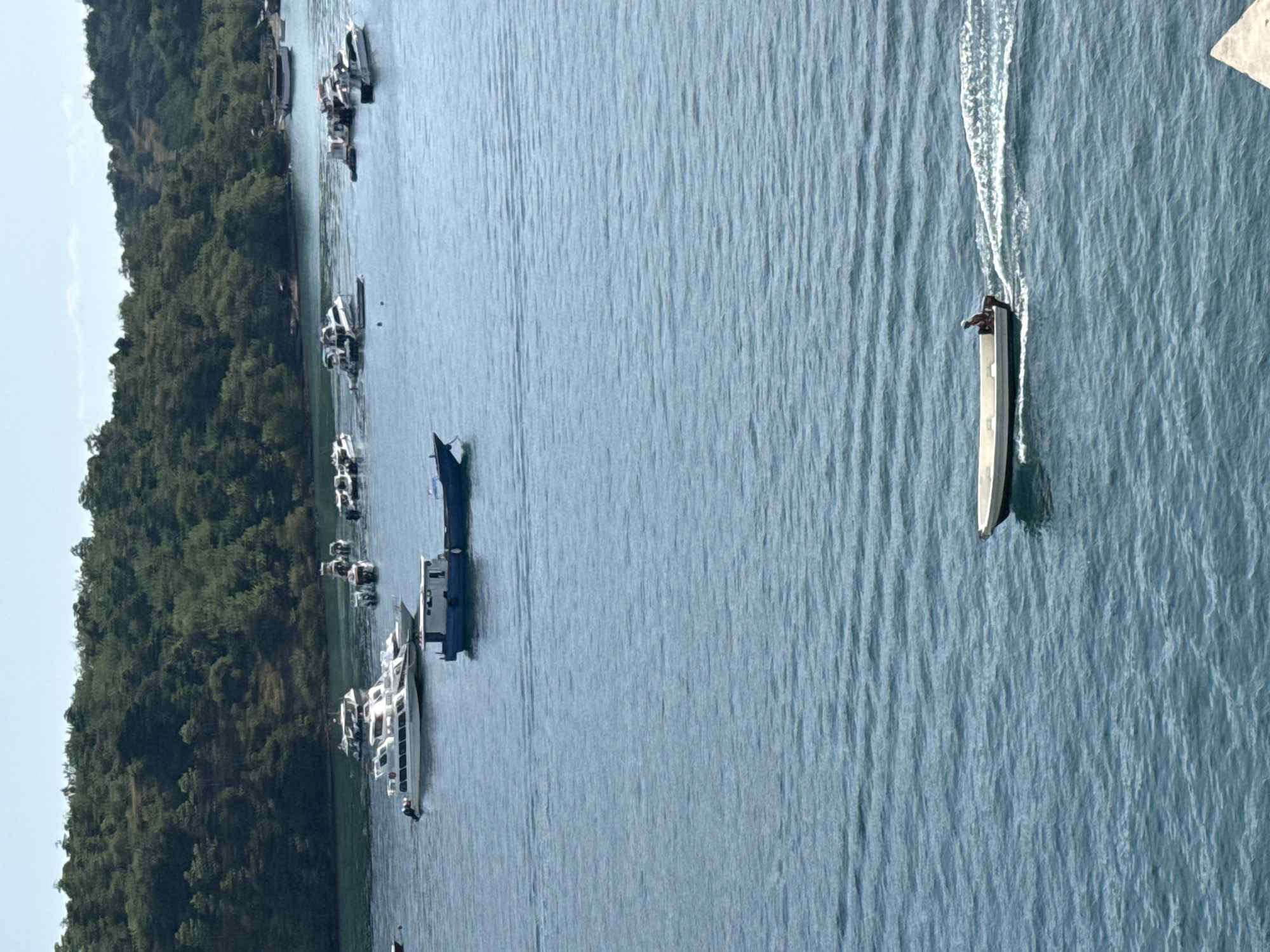 The image shows a body of water with several boats. On the left side of the frame, there is land covered in dense trees. At least 9 boats are moored close to the shore, and one boat is moving across the water to the right, leaving a white wake behind it. A person appears to be standing on the boat. The setting is likely near the city of Labuan Bajo, Indonesia.