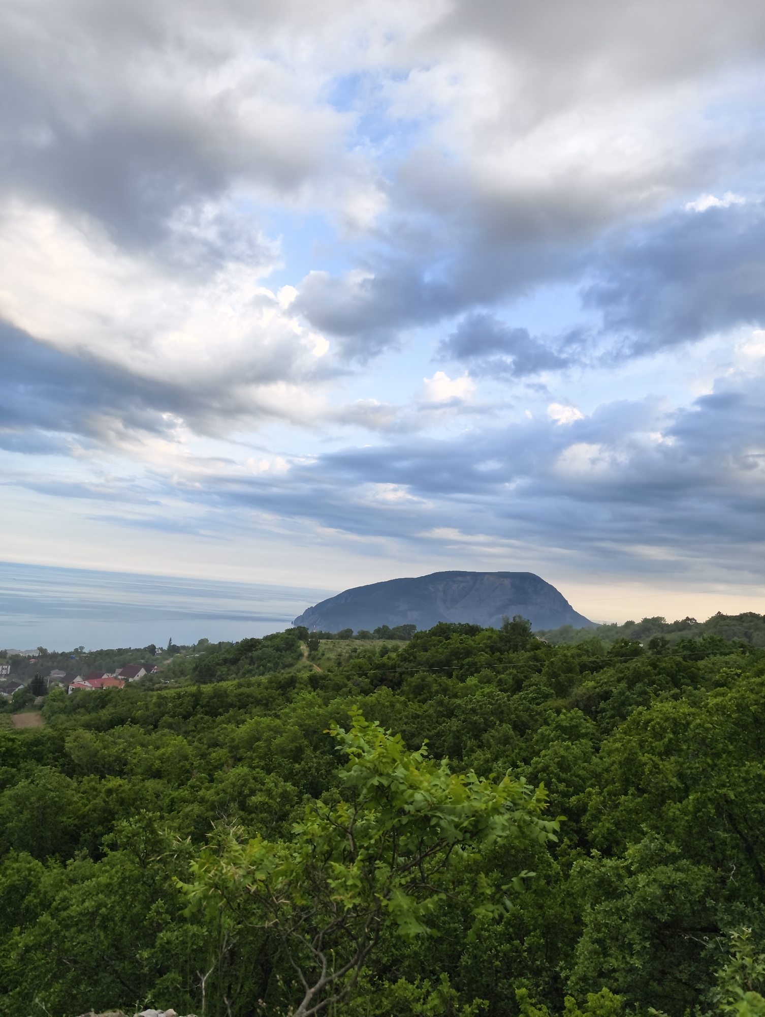 The image presents a panoramic view of a coastal landscape in Kiparisnoe, Ukraine, under a partly cloudy sky. The upper half of the frame displays a sky with patches of light blue interspersed with numerous layered clouds in shades of grey and white. Below the sky, the calm, expansive surface of the Black Sea extends horizontally across the mid-left portion of the image, meeting the distant horizon. A large, prominent, dark-colored mountain or massif (likely Mount Ayu-Dag) dominates the central-right midground, appearing as a rounded, forested silhouette against the lighter distant sky and sea. In the lower-left midground, a cluster of residential buildings with reddish-orange roofs and light-colored walls is visible amidst the green vegetation, situated near the coastline. The foreground and much of the midground are densely covered with lush, vibrant green deciduous trees and shrubs, forming a thick forest canopy. No individuals or specific actions are discernible in the scene.
