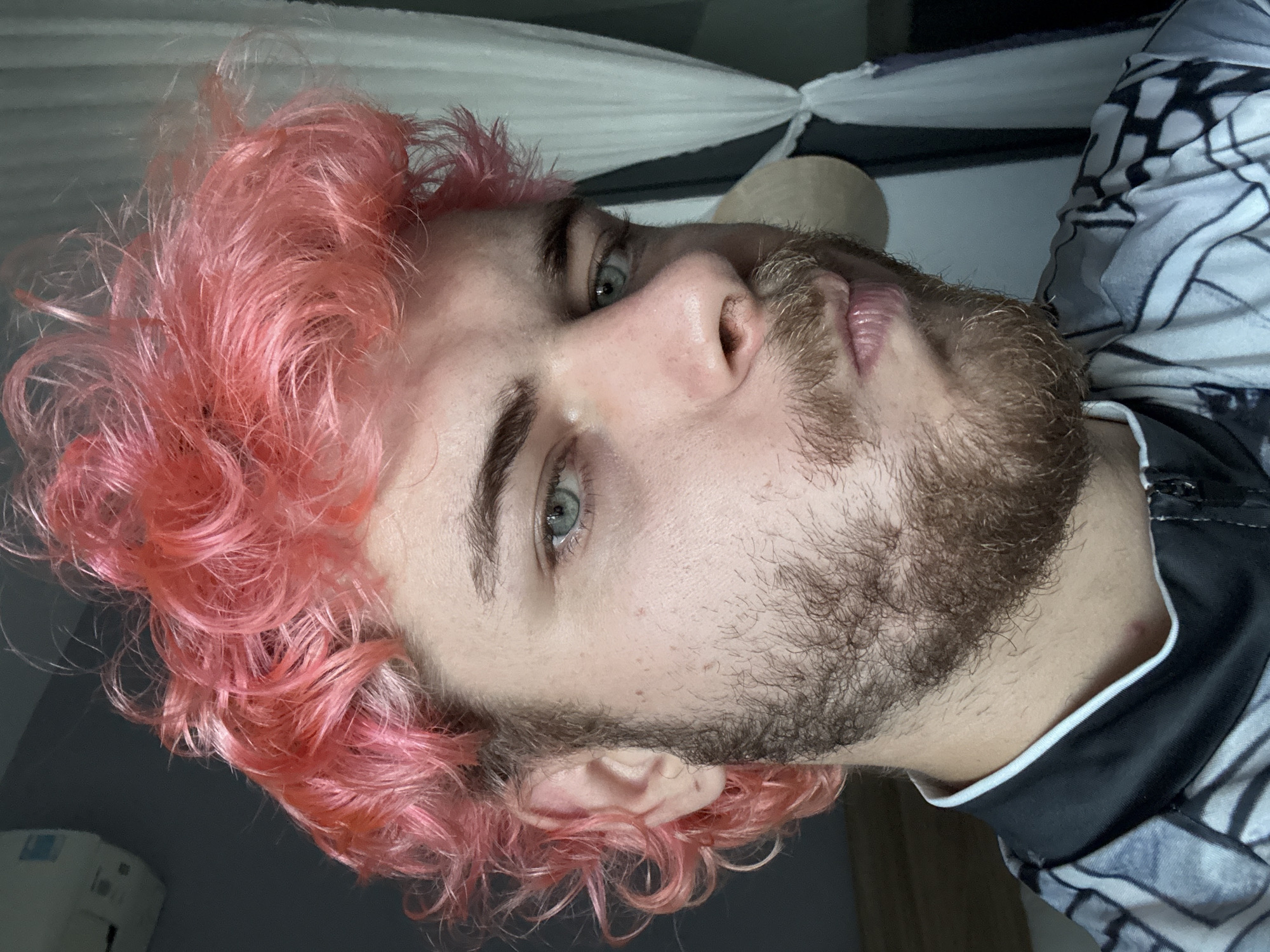 A medium shot shows a man with pink, curly hair and a beard. His eyes are pale. He is wearing a black and white patterned shirt with a white collar. The background includes a gray wall and white fabric, possibly a curtain. There is no evidence of a location in Đà Nẵng, Vietnam, or any specific city.