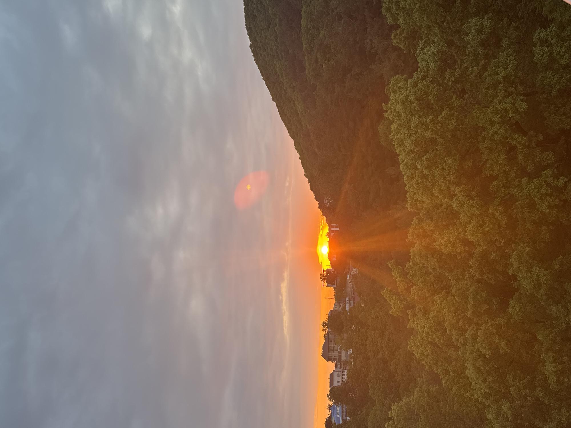 The image depicts a sunset over what appears to be a cityscape nestled between a wooded hillside and a cloudy sky. The sun is low on the horizon, casting golden rays through the air and creating a lens flare effect above it. The city below is partly obscured by trees, but structures suggest it is Sosnovy Bor in Russia. The hillside is covered in lush vegetation. The sky is filled with textured clouds.