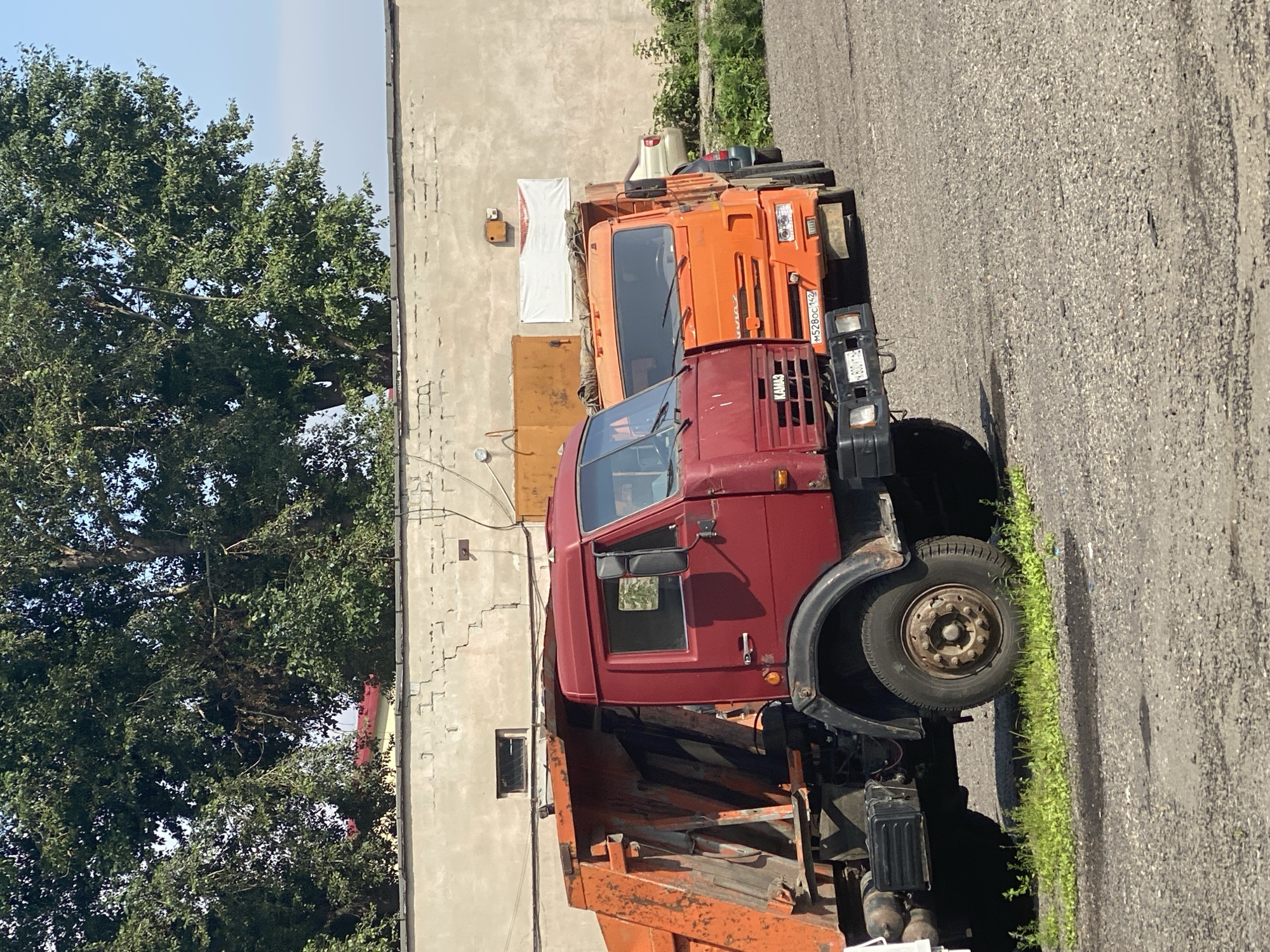 The image depicts an outdoor scene with two dump trucks parked on a gravel lot. The foreground is dominated by the front portion of a red dump truck, partially obscuring a vibrant orange dump truck parked to its right. The red truck features a large tire, a black fender, and a portion of its orange dump bed. Visible on the front of the red truck is the "KAMAZ" logo. The orange truck, positioned slightly behind and to the right of the red truck, is a dump truck with its bed tilted upwards. Its license plate reads "M528OC 142". Further to the right, a light-colored car and a dark-colored vehicle are partially visible. In the background, a long, light-colored building with a textured facade stands under a clear blue sky. Large trees with dense green foliage are visible behind the building. The overall environment appears to be an industrial or service area, likely a depot or parking lot for heavy vehicles. The lighting suggests it is daytime, with the sun casting shadows on the ground. There are no people visible in the image. The location is identified as Novokuznetsk, Russia.