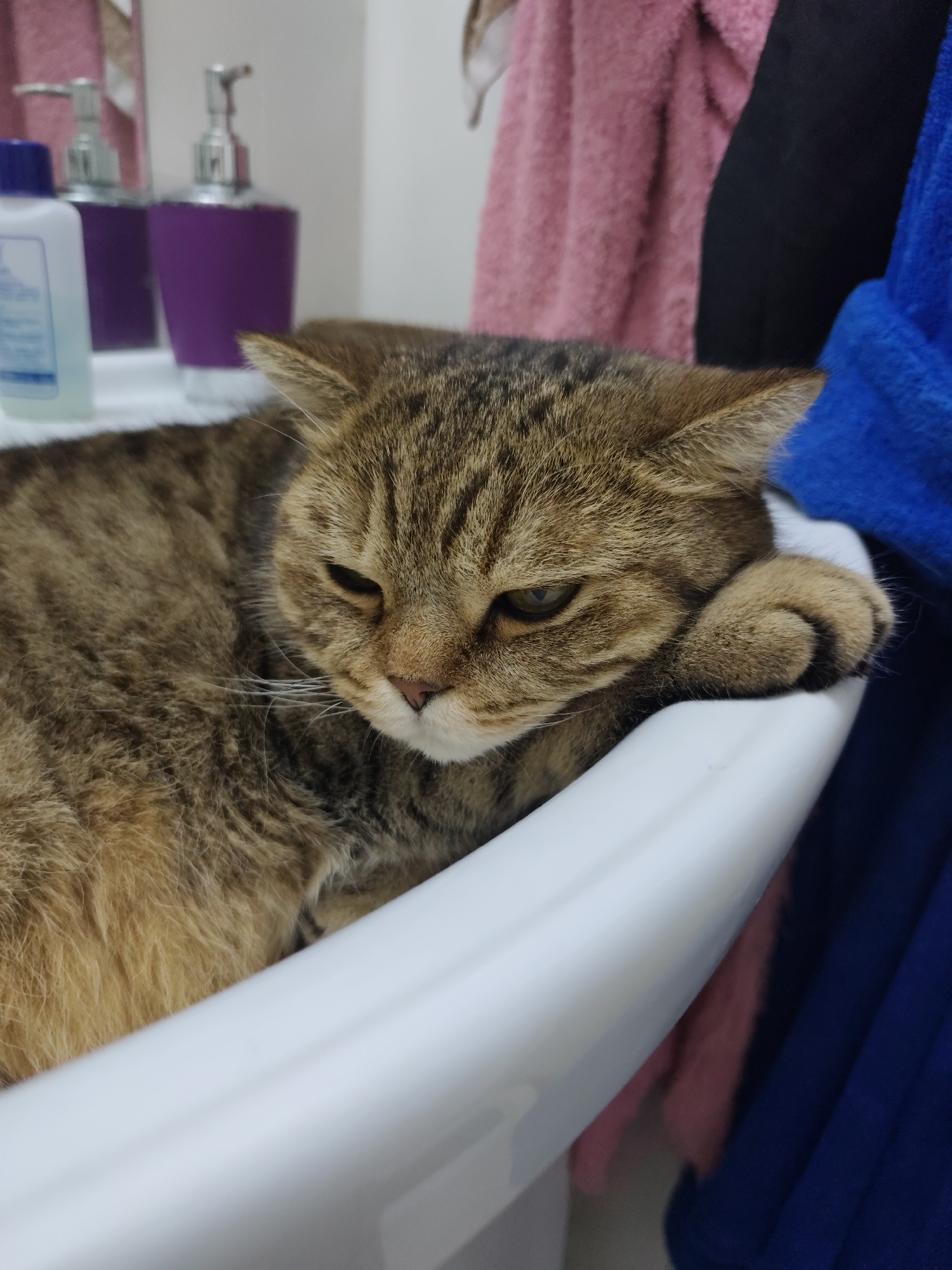 A tabby cat is resting in a white sink. The cat is facing left with its head resting on the edge of the sink. The cat's eyes are partially closed, and its expression appears sleepy. Behind the cat, there are several items visible: a blue bottle, two soap dispensers, and several colorful towels or robes hanging on the wall. The sink appears to be in a bathroom. The image does not contain any information that would allow for a specific location in Komsomolsk-on-Amur, Russia to be identified.