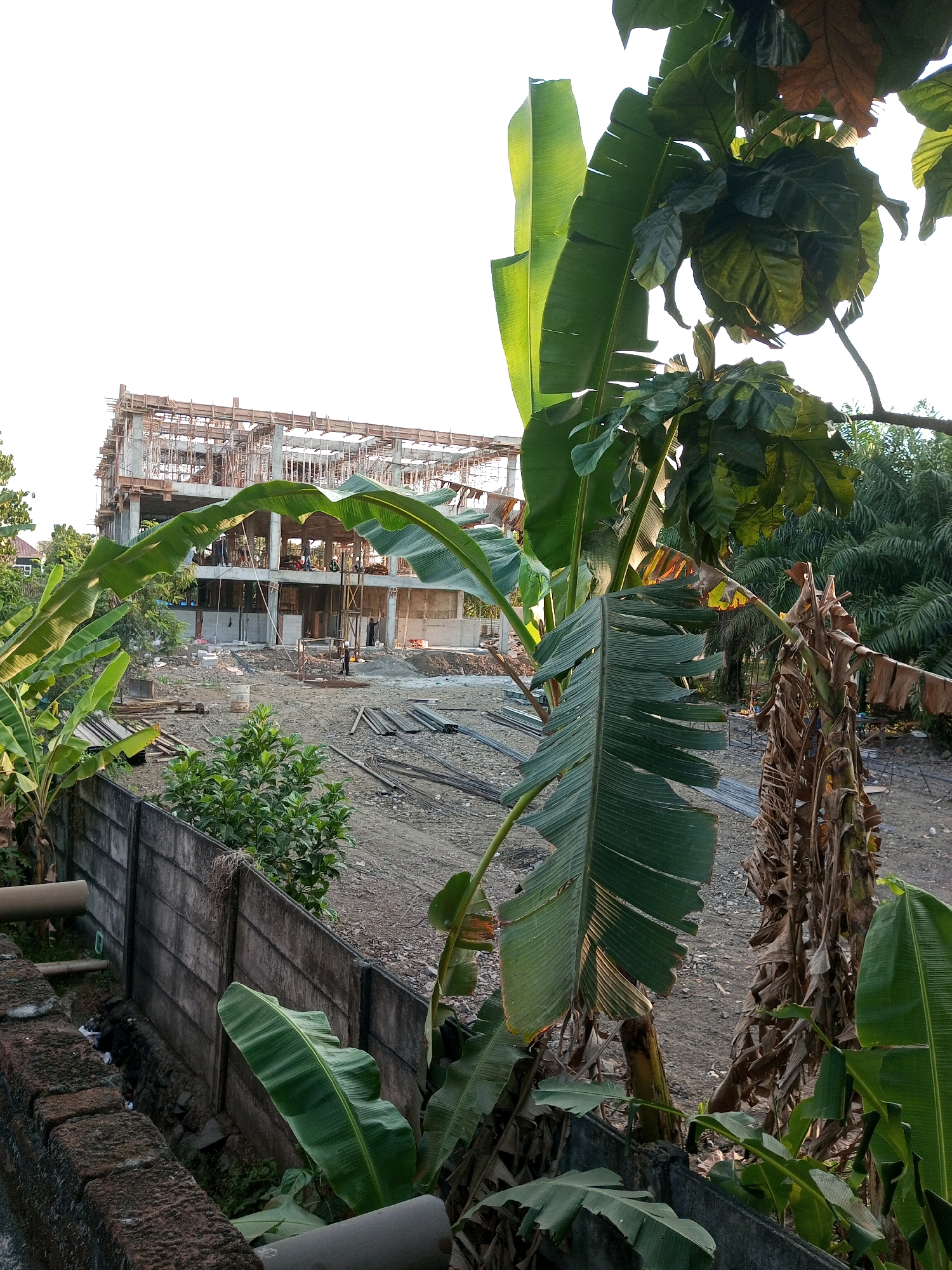 In Tegalgede, Indonesia, a multi-story building is under construction. The structure, made of concrete and steel, has scaffolding around it, and workers are visible on different levels. The foreground features a dense growth of banana plants, some with large green leaves and others with dried, brown stalks. A concrete wall runs along the left side of the image, bordering a small channel of water. The ground is a mixture of dirt and gravel, with piles of construction materials, including rebar, scattered throughout the site. The overall environment suggests an active construction zone amidst a tropical landscape.
